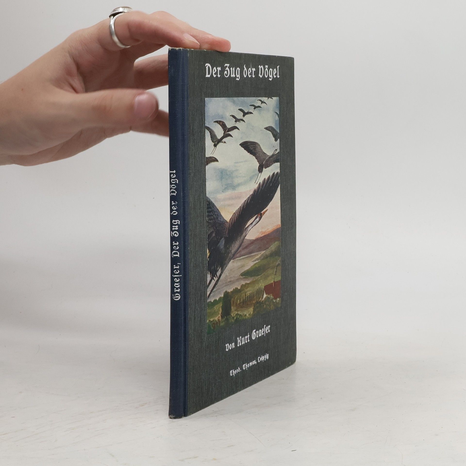 Kurt Graeser Der Zug der Vögel
