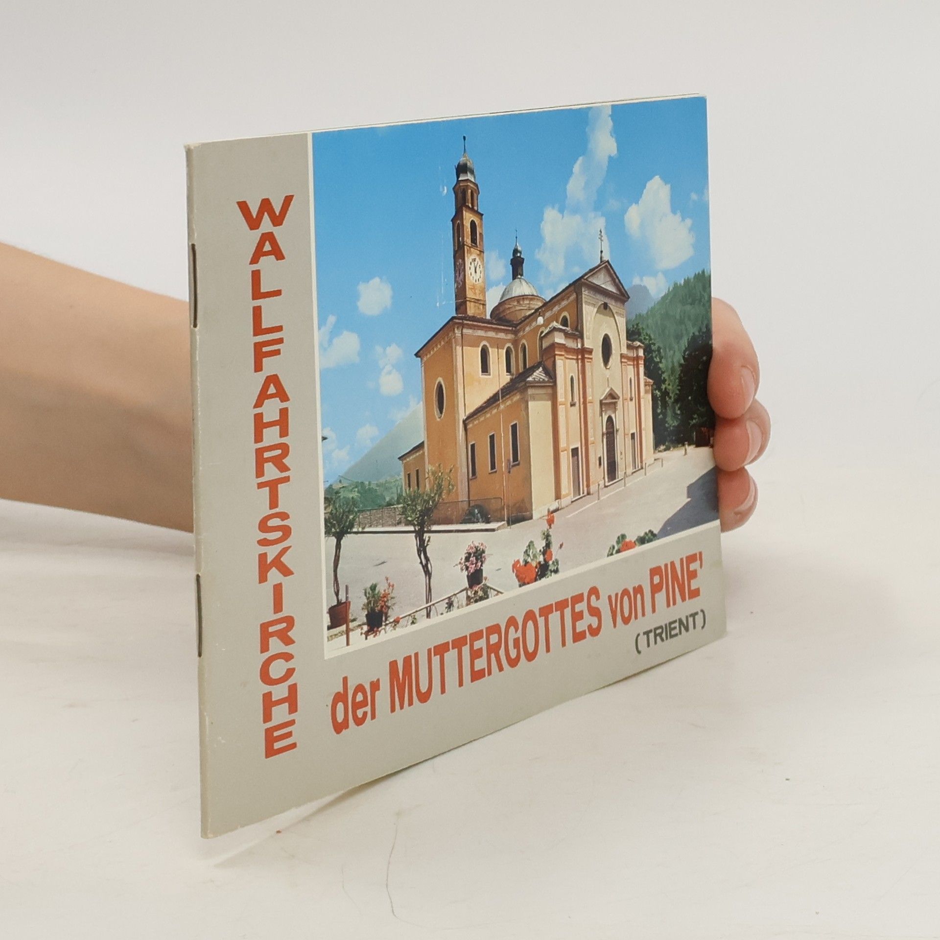 Auteurscollectief Wallfahrtskirche der Muttergottes von Pine