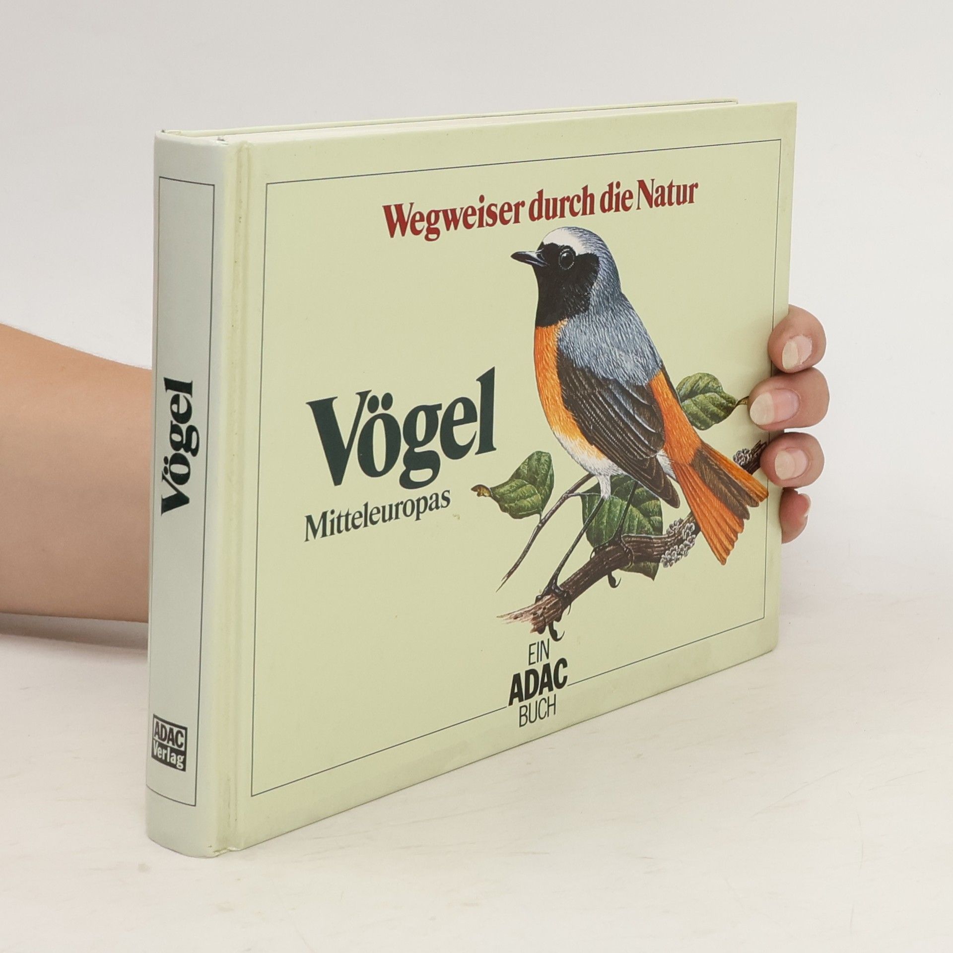 Claus König Vögel Mitteleuropas