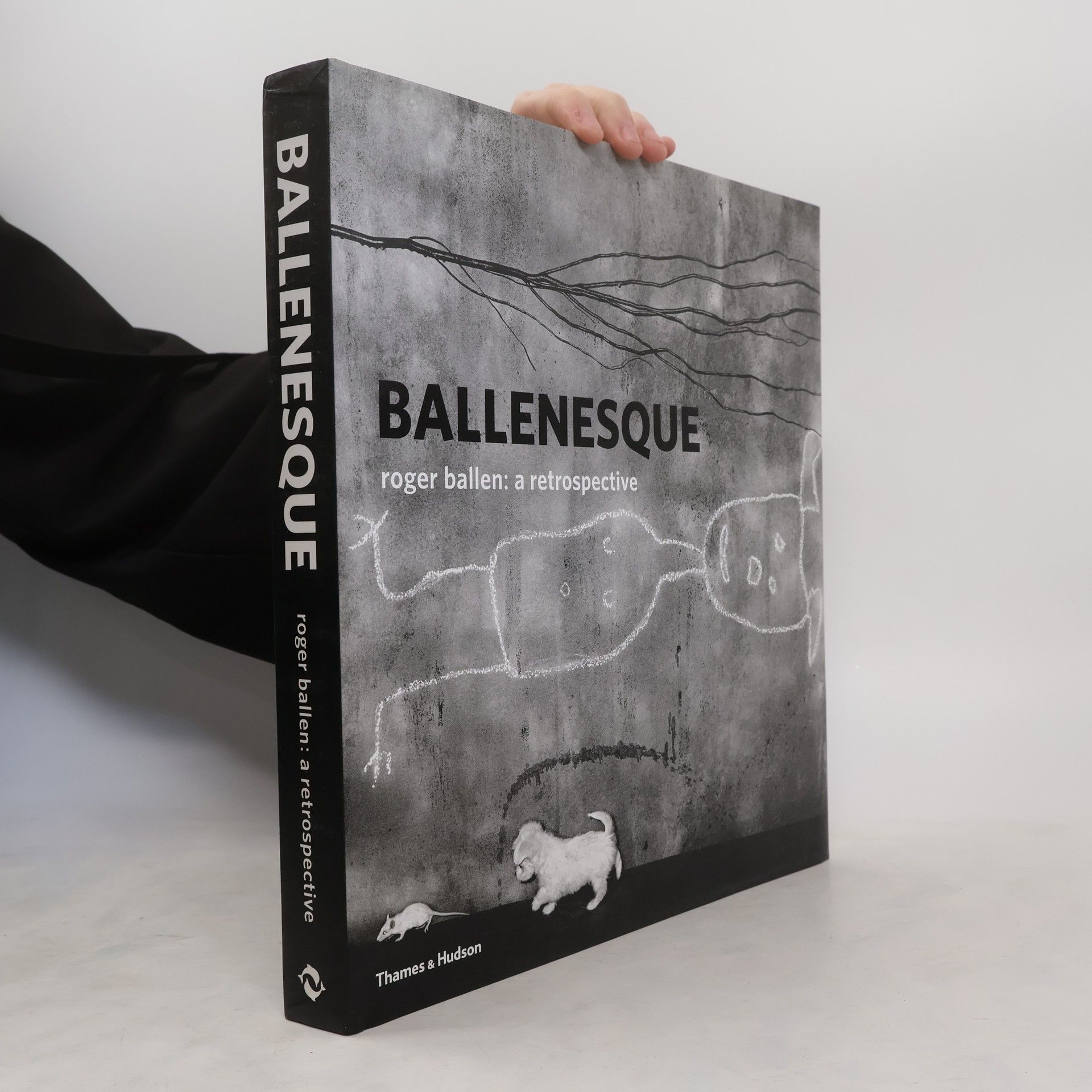 Roger Ballen Ballenesque: Roger Ballen