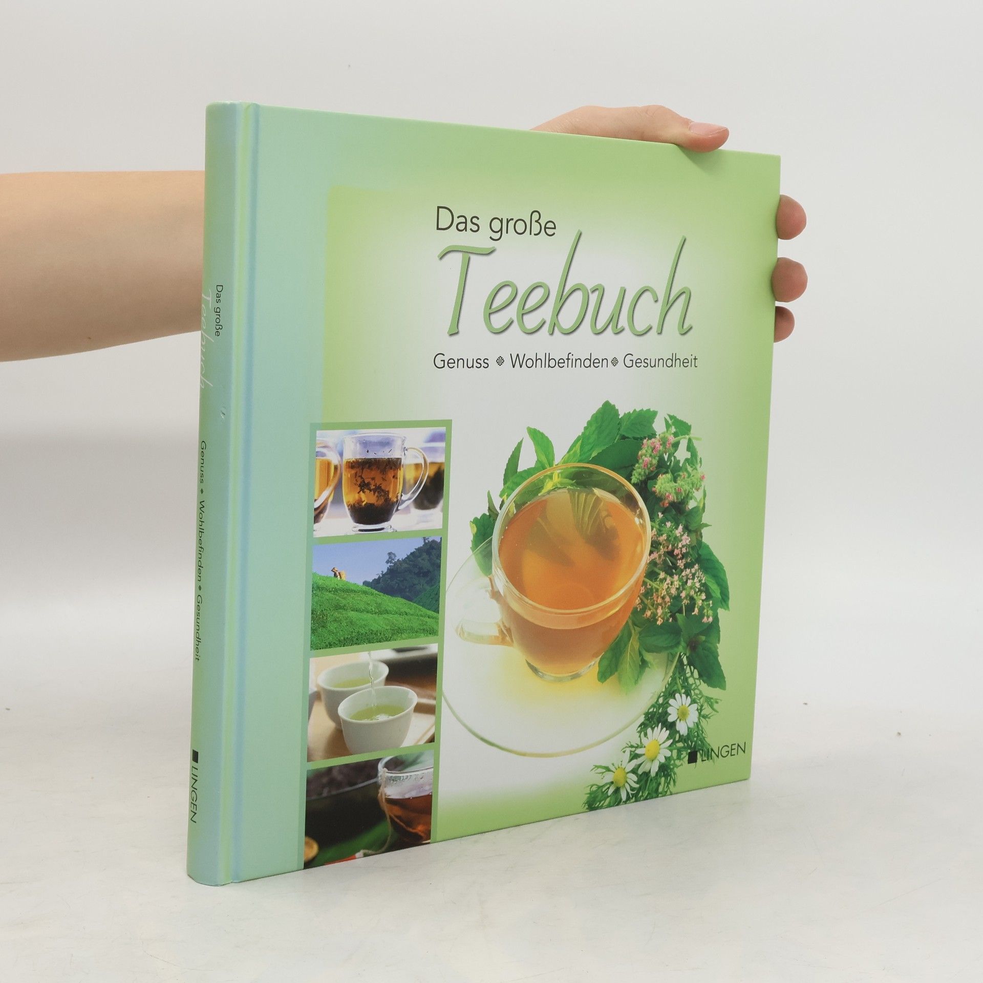 Autores varios Das große Teebuch. Genuss, Wohlbefinden, Gesundheit