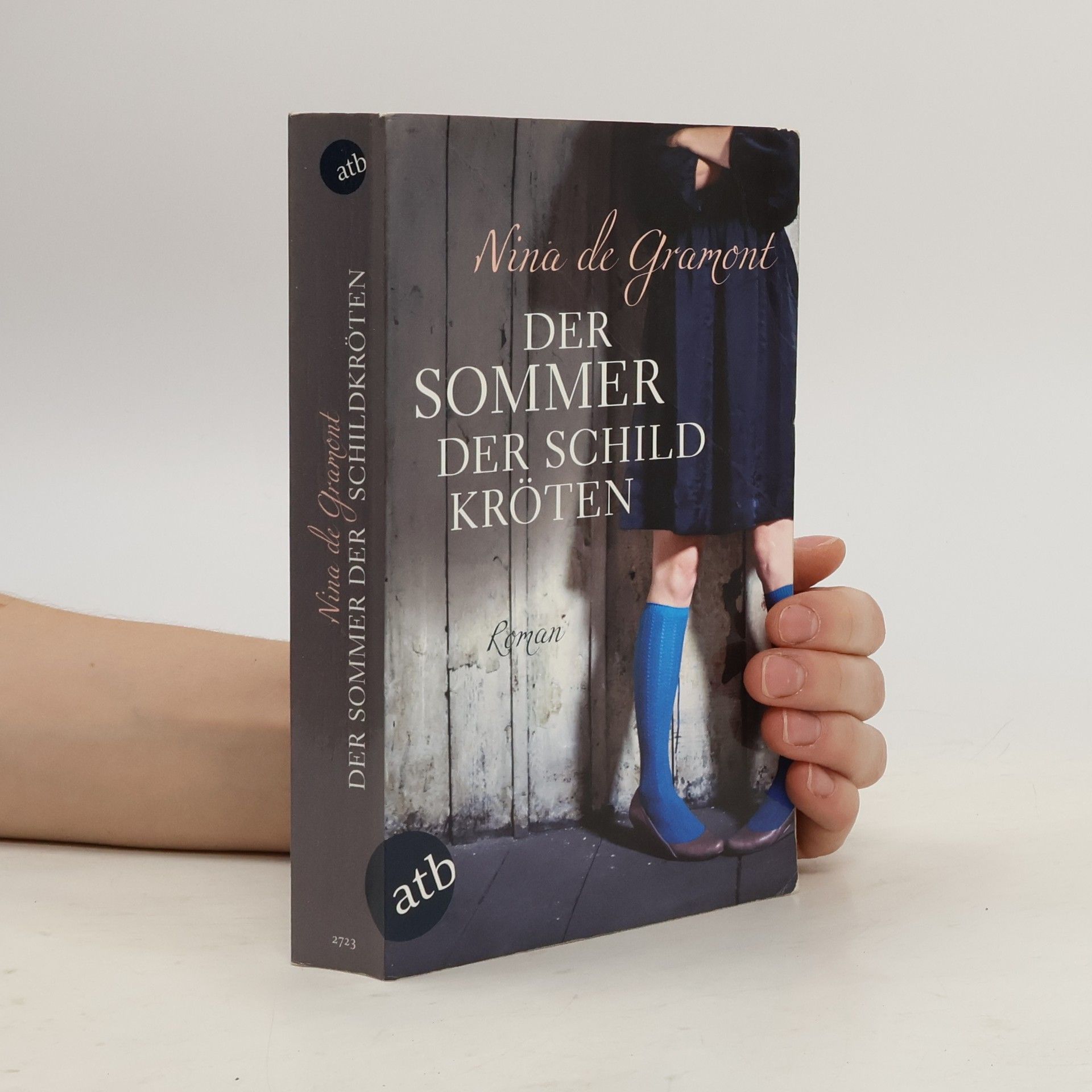 Nina de Gramont Der Sommer der Schildkröten