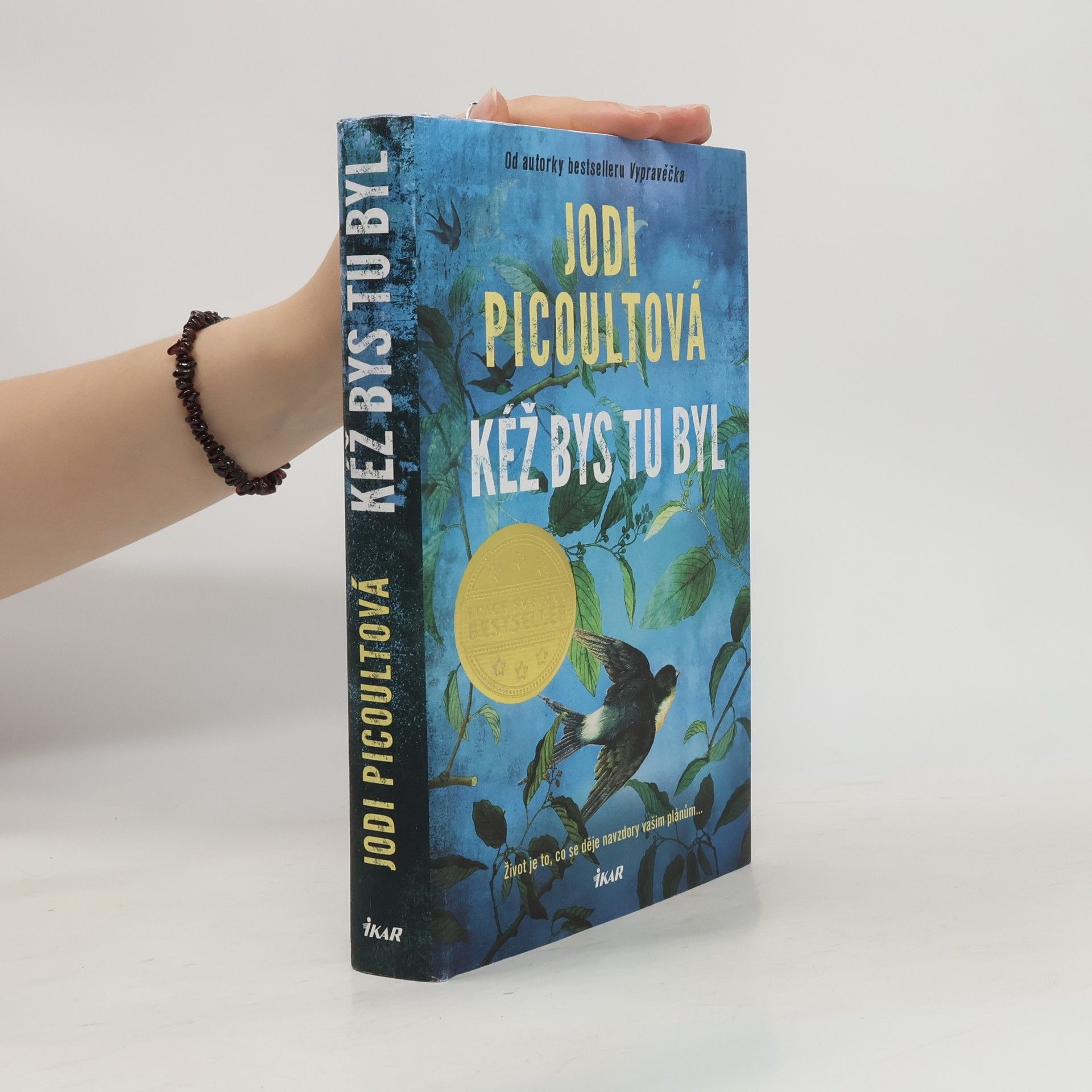 Marcela Nejedlá Kéž bys tu byl