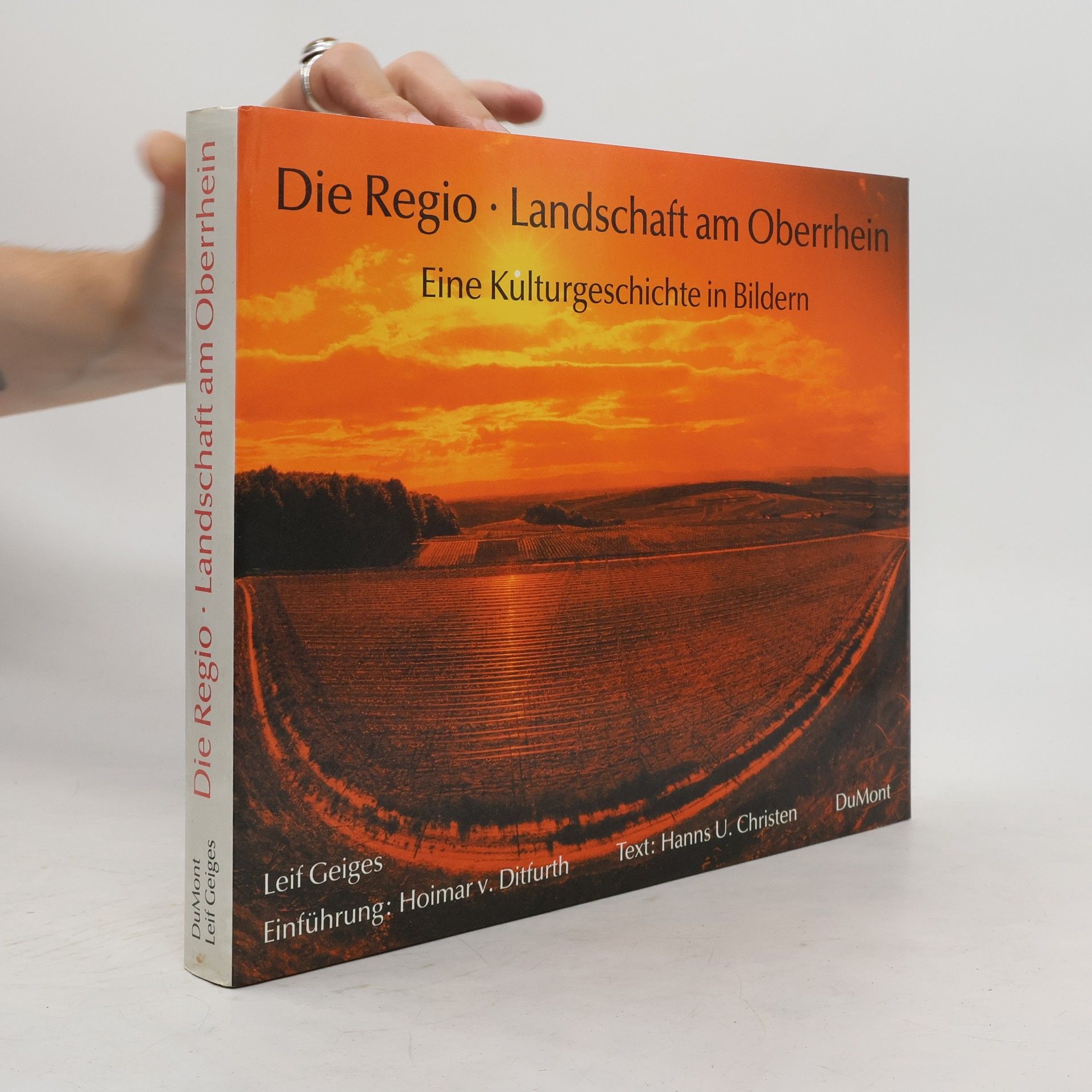 Leif Geiges Die Regio, Landschaft am Oberrhein