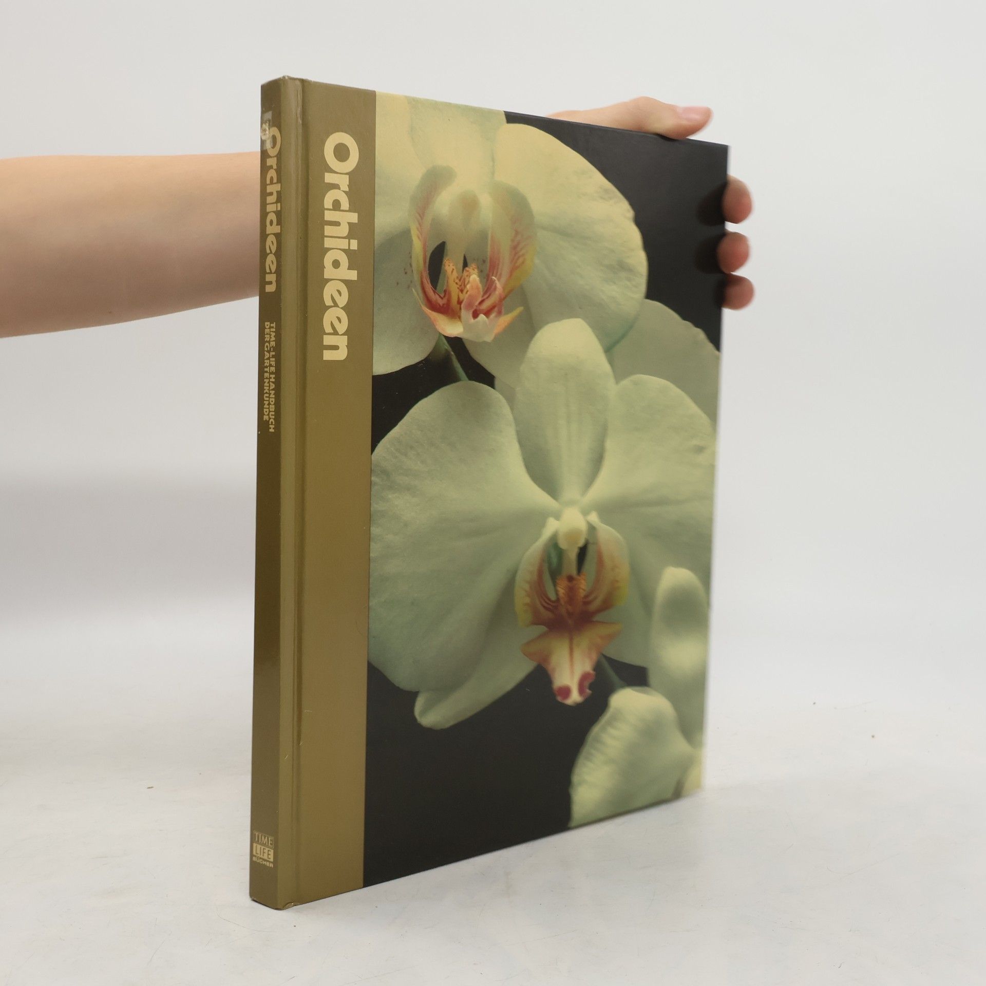 Alice Skelsey Orchideen