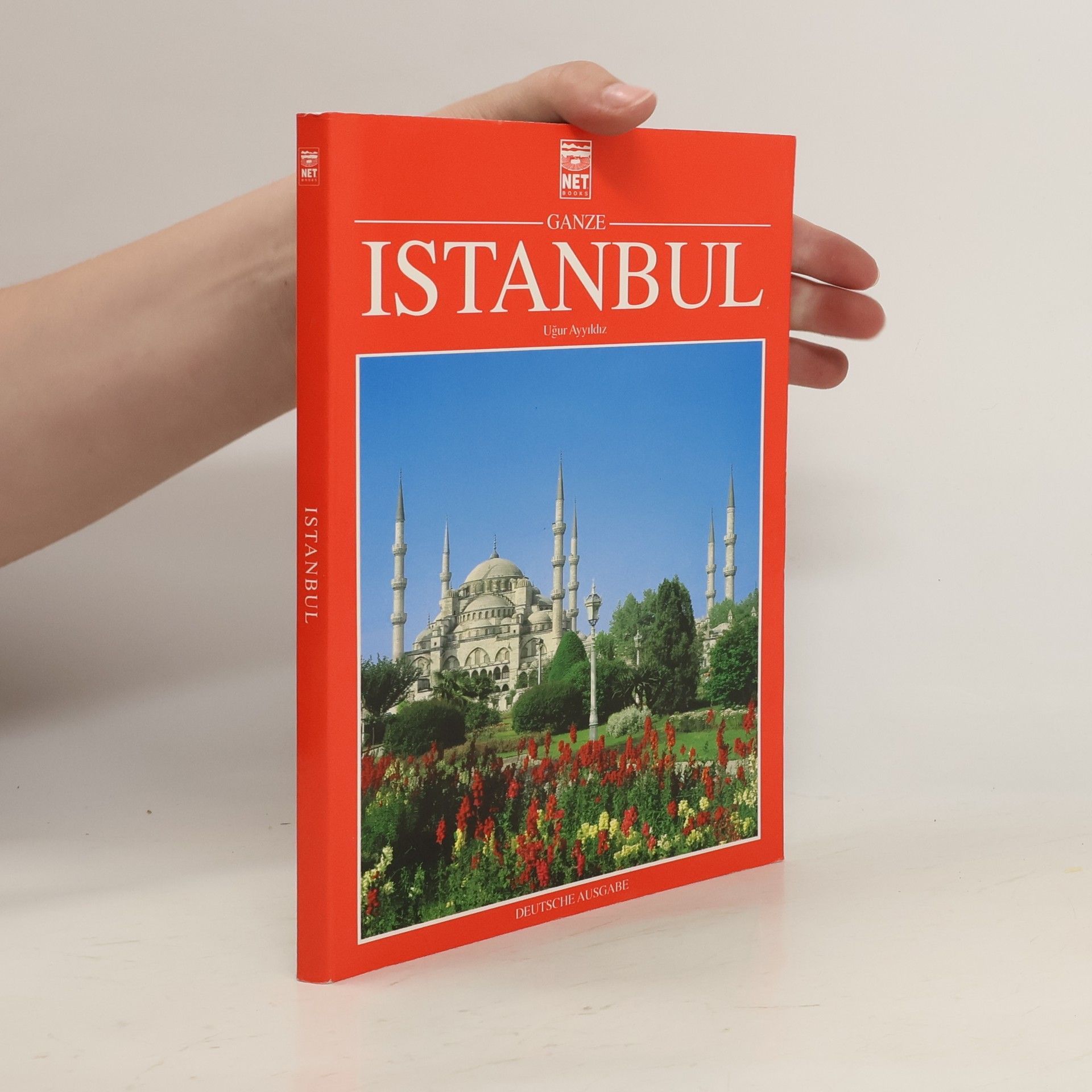 Uğur Ayyıldız Großstadt Istanbul