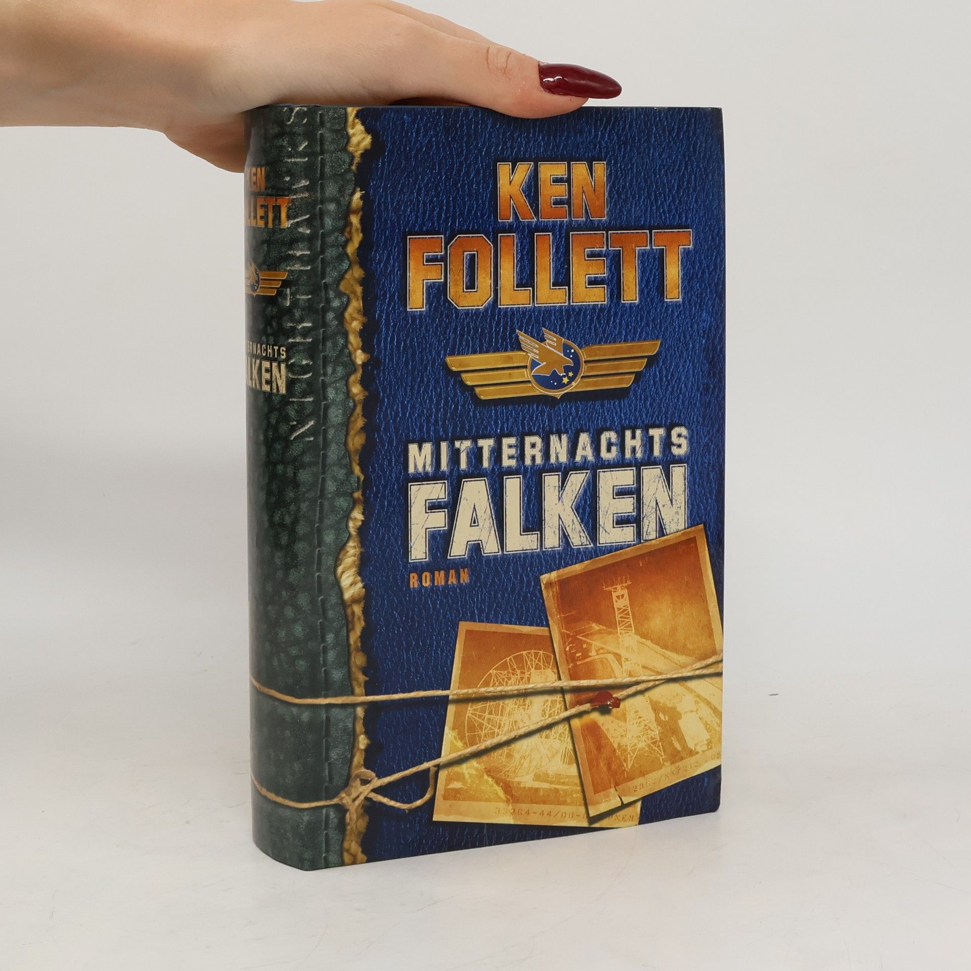 Ken Follett Mitternachtsfalken