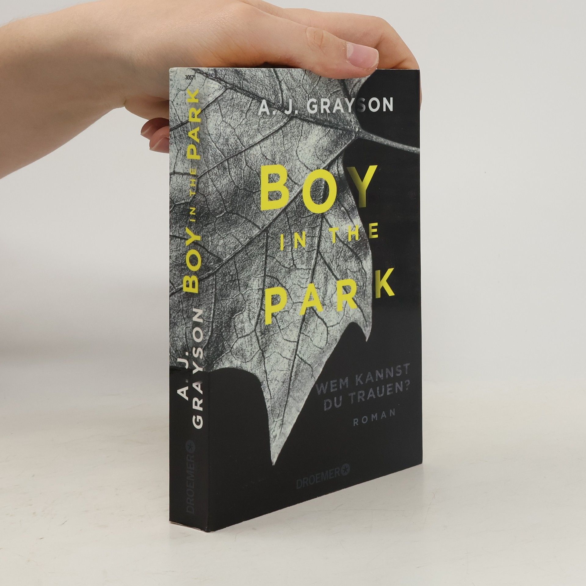 A. J. Grayson Boy in the park