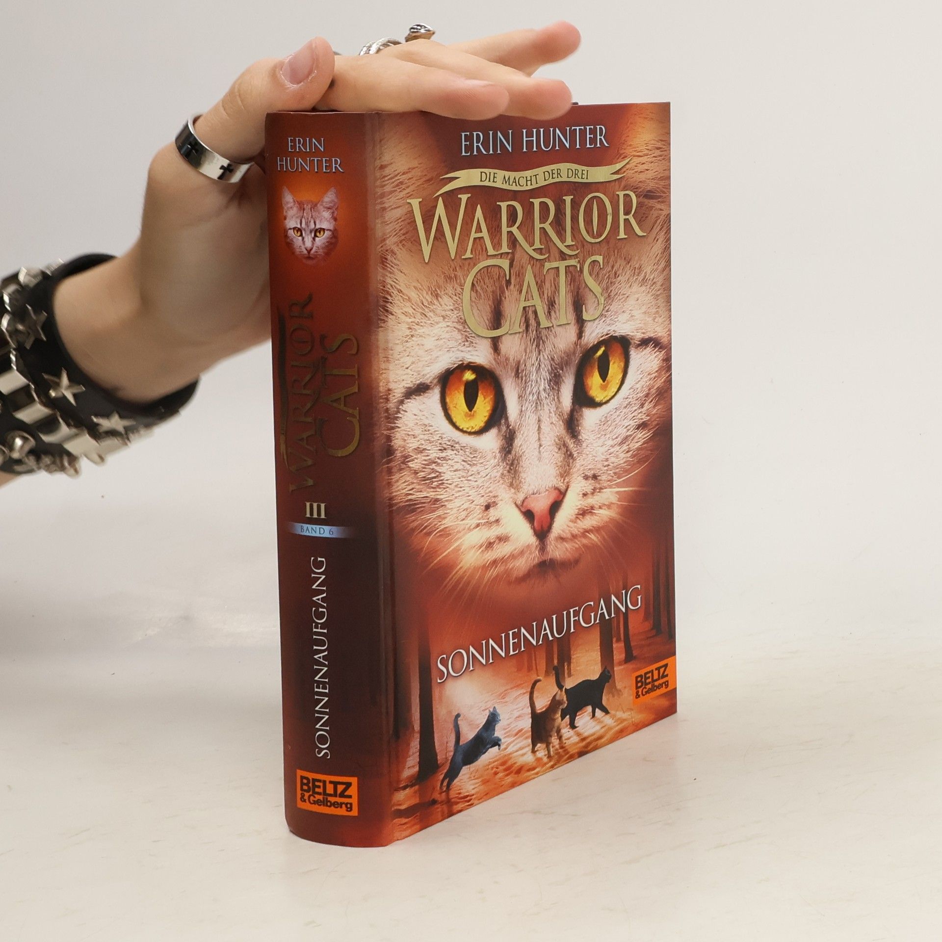 Erin Hunter Warrior Cats. Sonnenaufgang