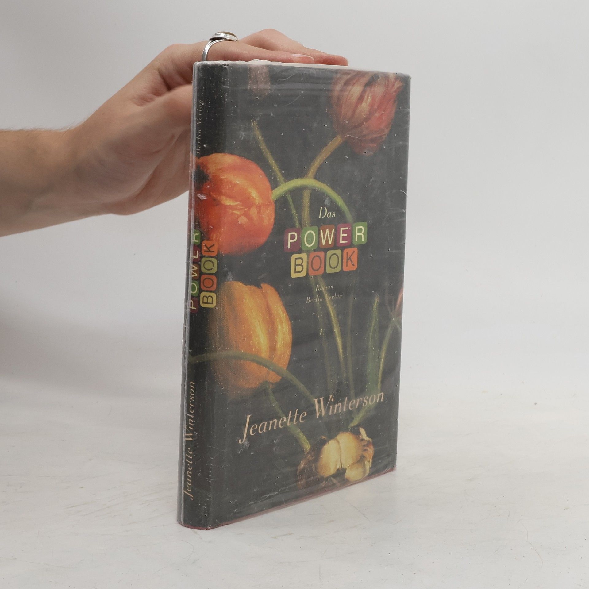 Jeanette Winterson Das Power-Book