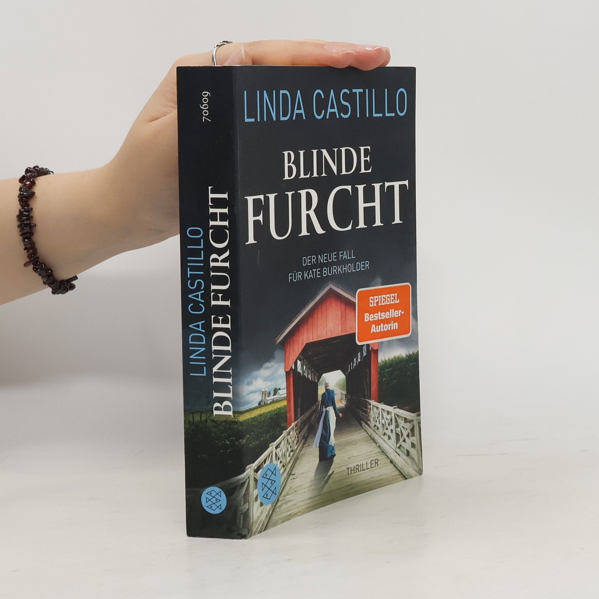 Linda Castillo Blinde Furcht