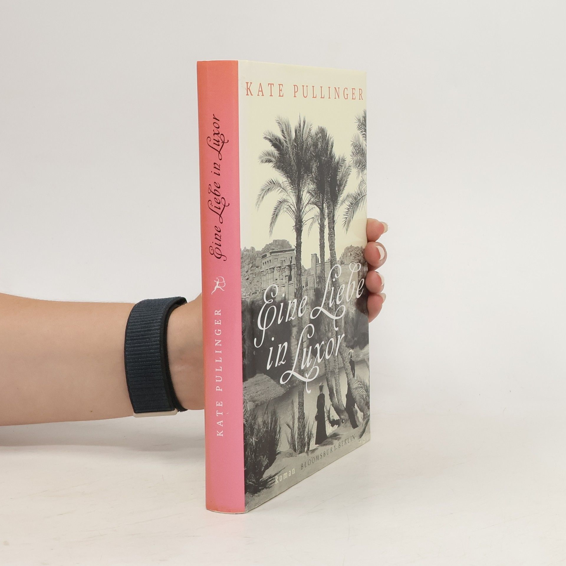Kate Pullinger Eine Liebe in Luxor
