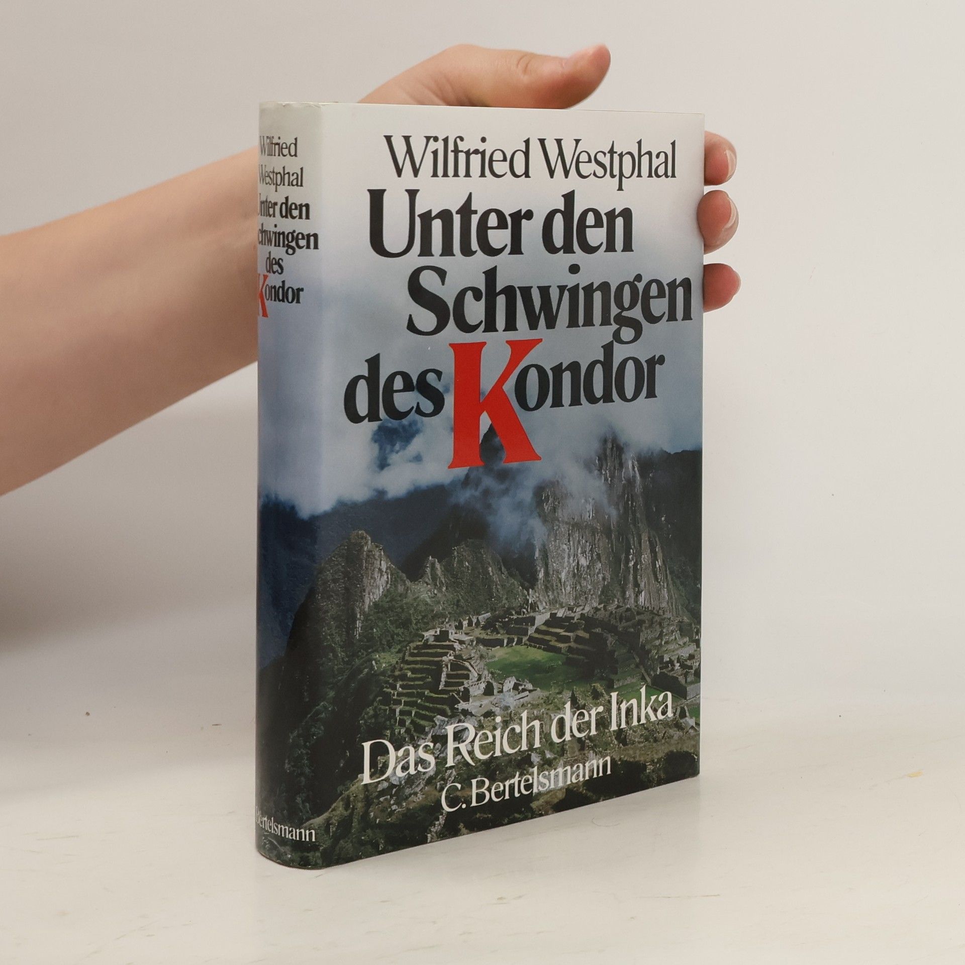 Wilfried Westphal Unter den Schwingen des Kondor