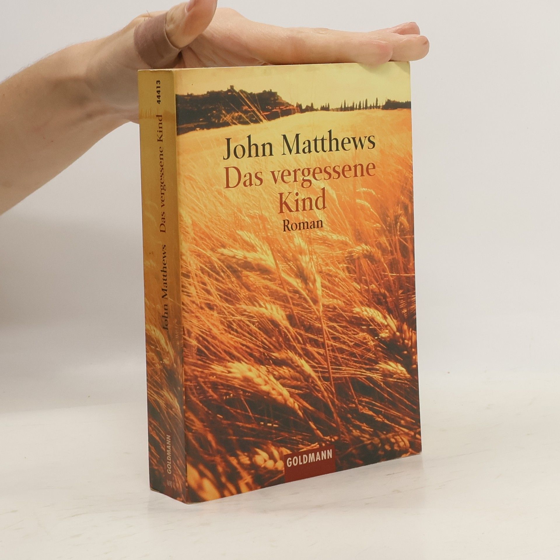 John Matthews Das vergessene Kind