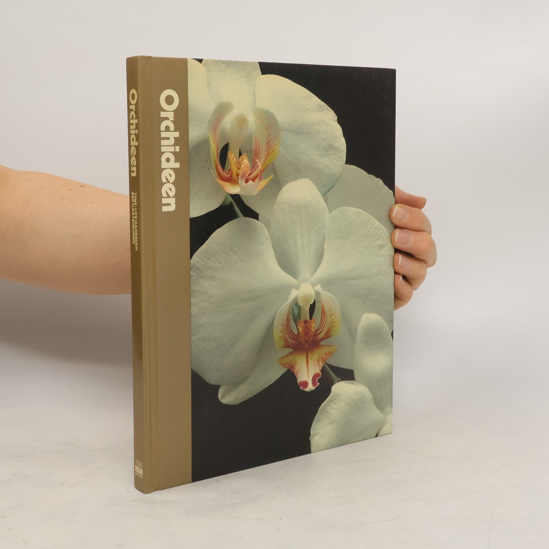 Alice Skelsey Orchideen