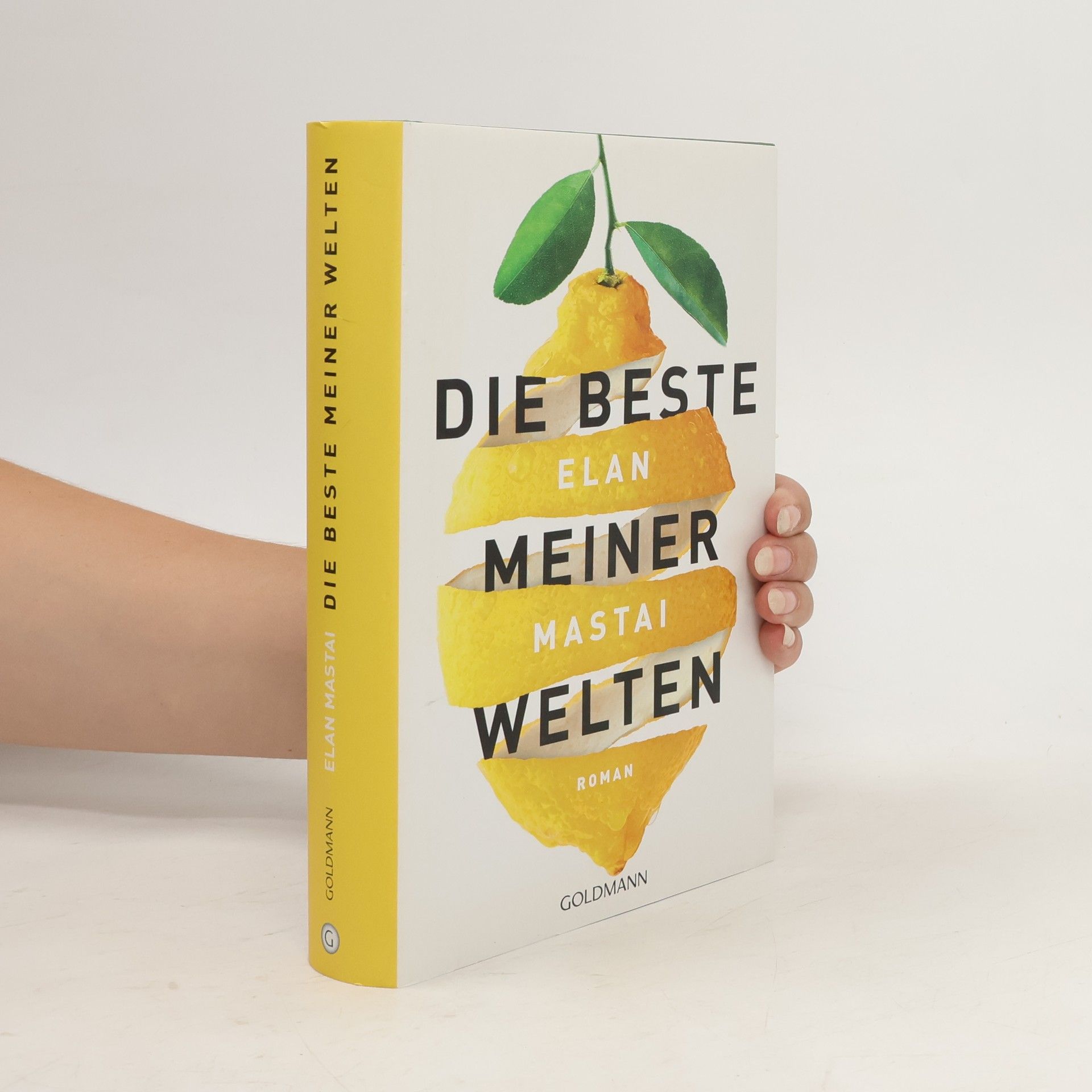 Elan Mastai Die beste meiner Welten