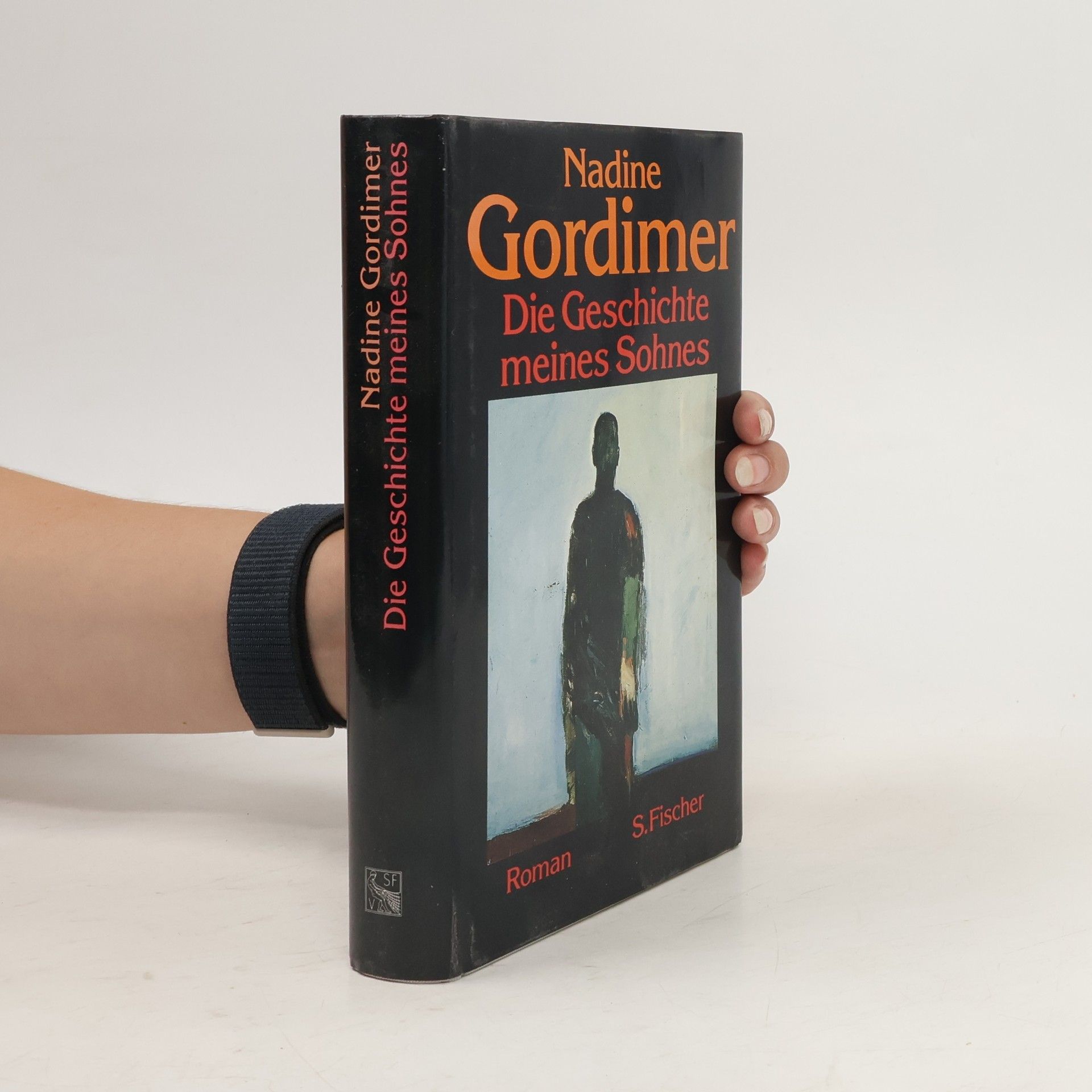 Nadine Gordimer Die Geschichte meines Sohnes