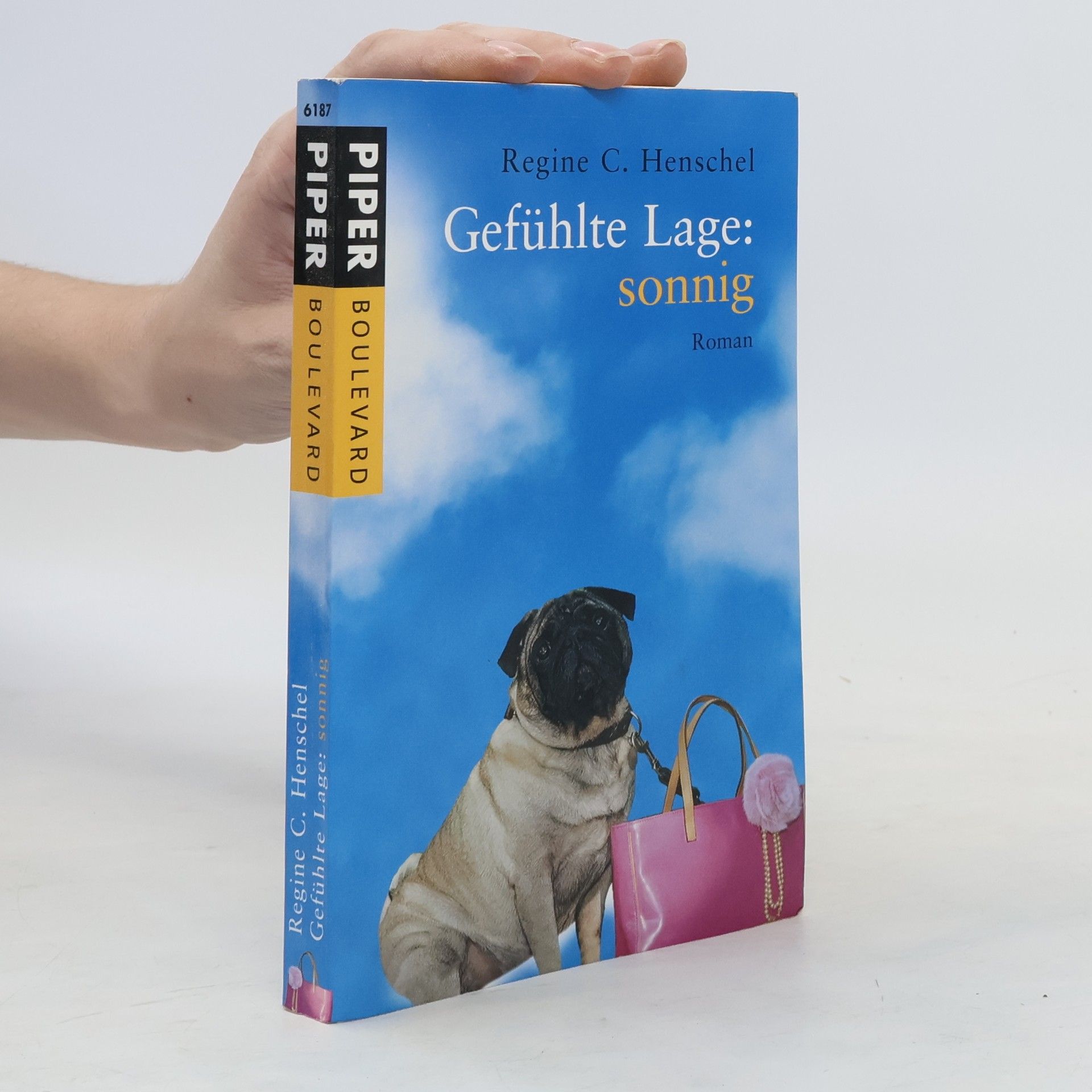 Regine C. Henschel Gefühlte Lage: sonnig