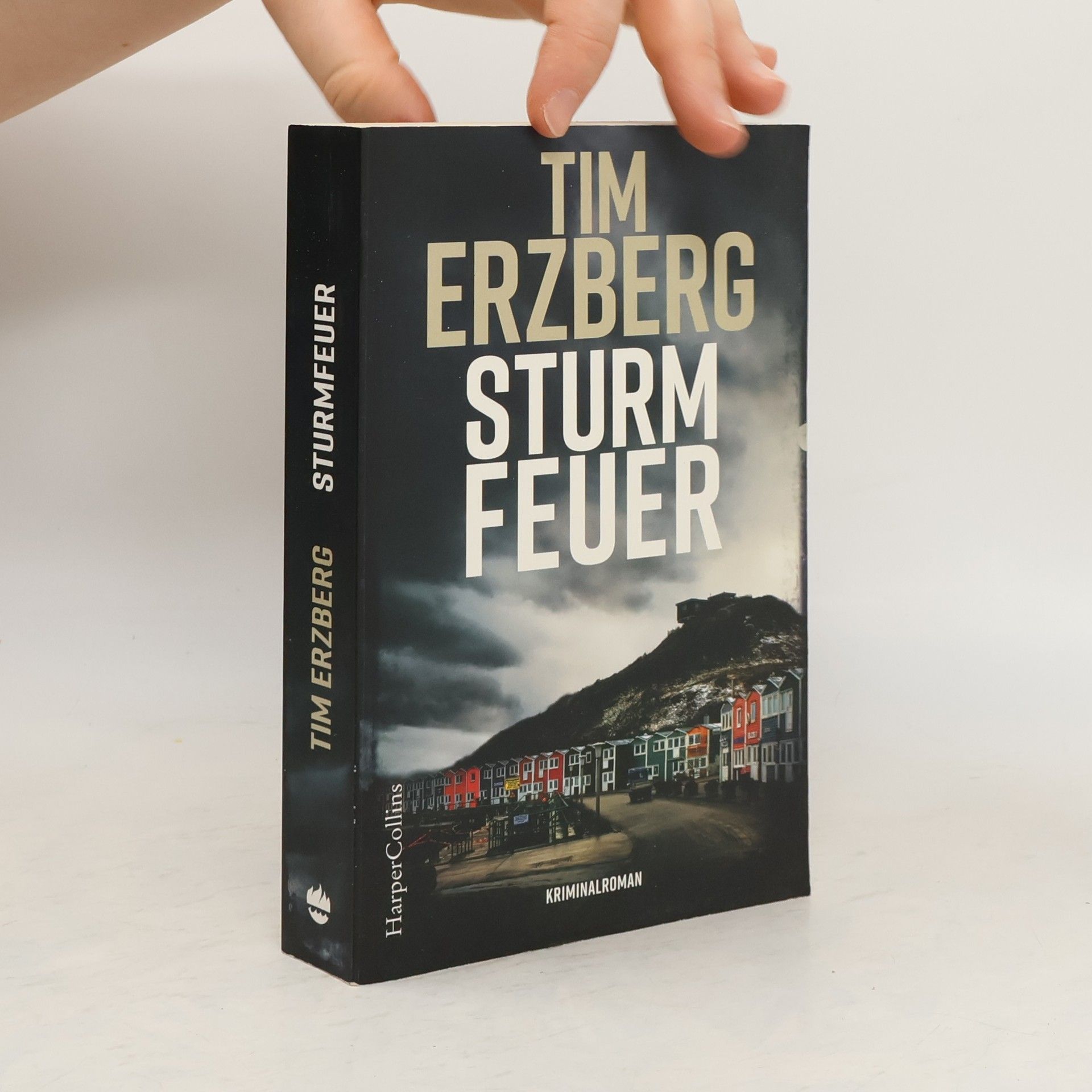 Tim Erzberg Sturmfeuer