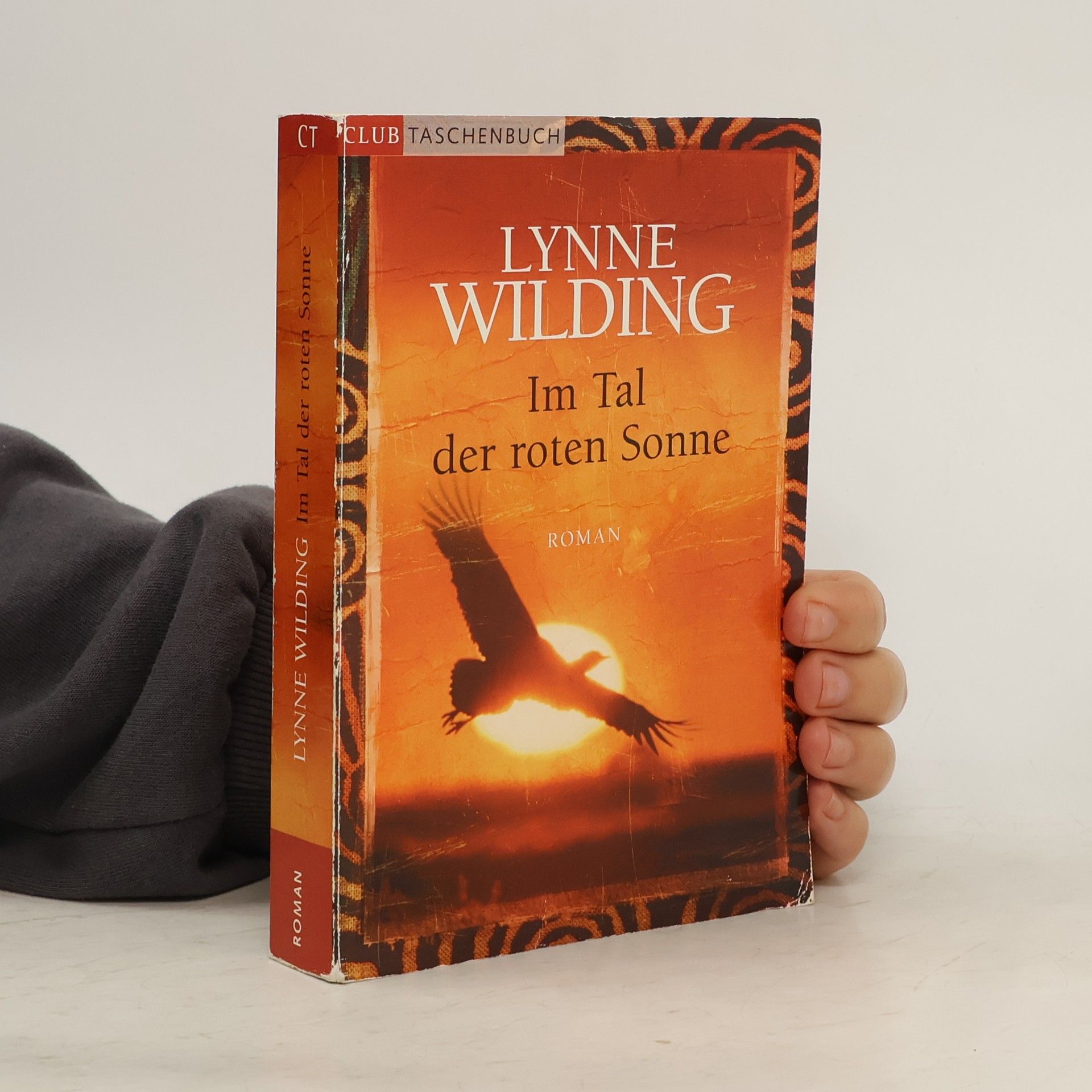 Lynne Wilding Im Tal der roten Sonne