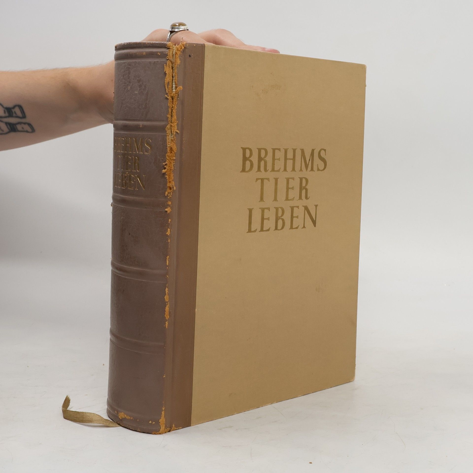 Autorenkollektiv  Brehms Tier Leben