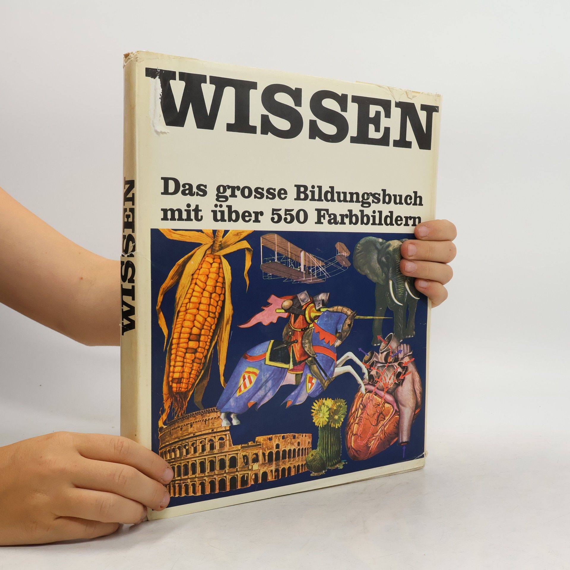 Autorenkollektiv Wissen 5