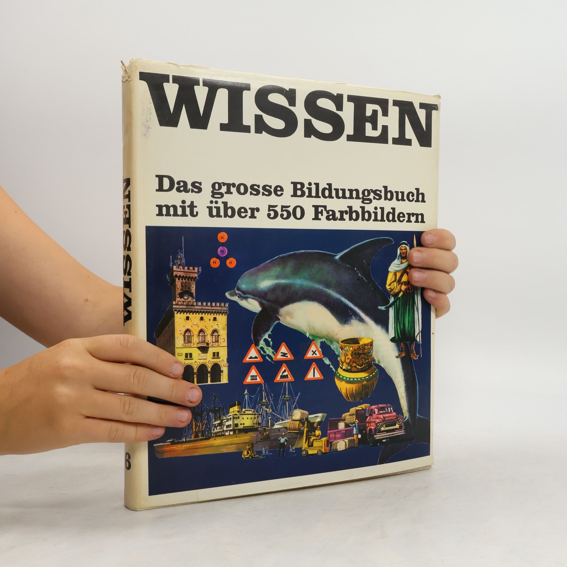 AA.VV. Wissen 6