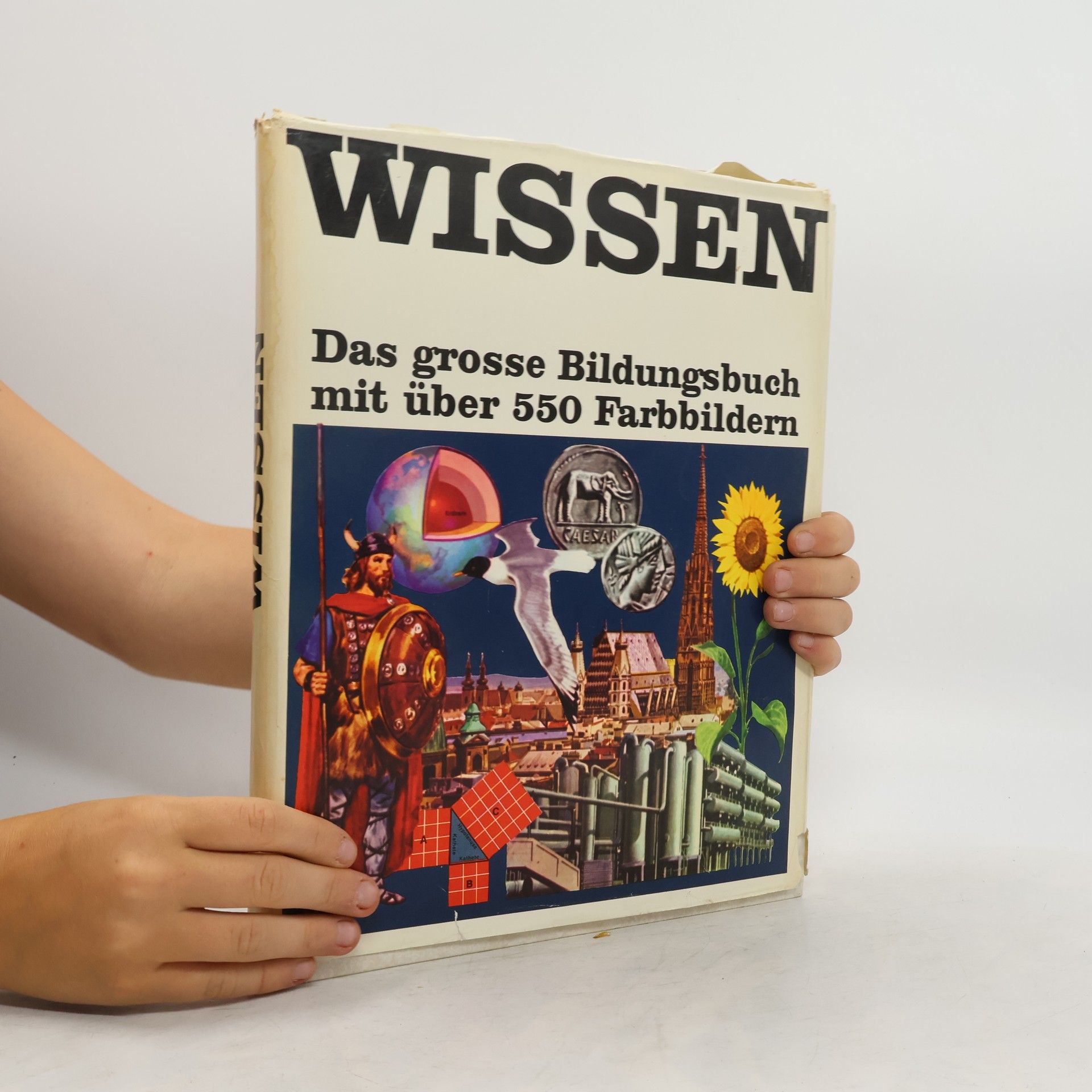 Kolektiv autorů Wissen 8