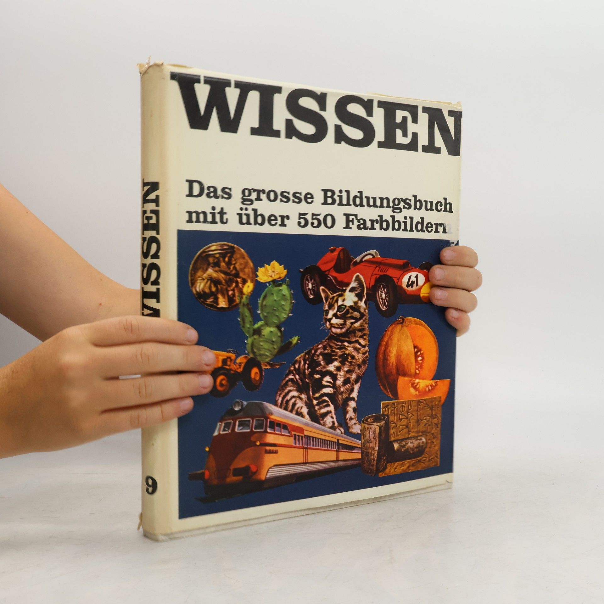 Kolektiv autorů Wissen 9
