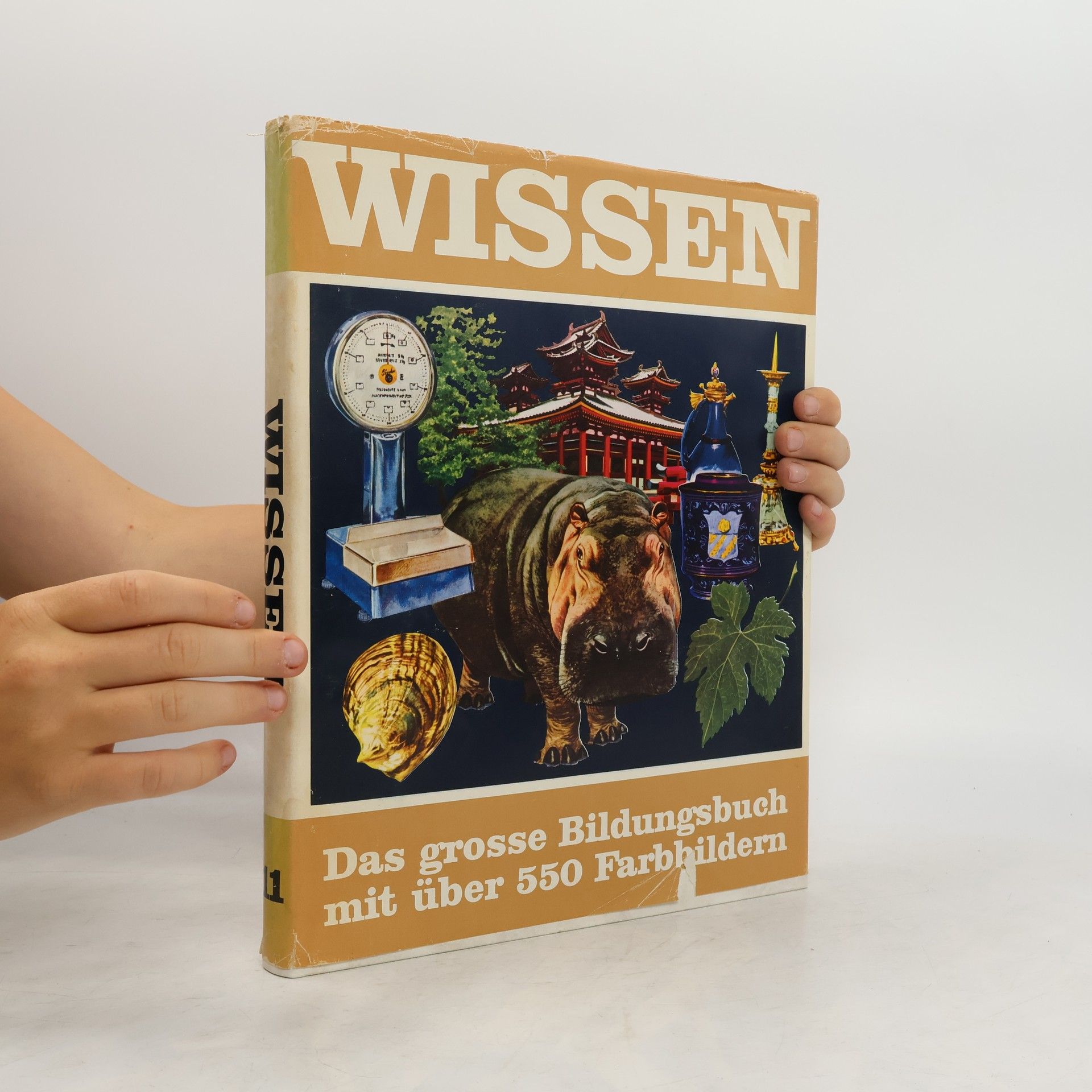 Kolektiv autorů Wissen 11. Das grosse Bildungsbuch mit über 550 Farbbildern