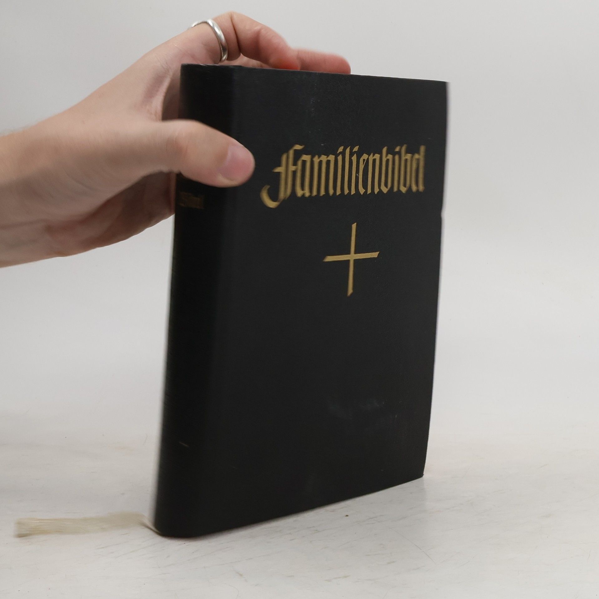 Martin Luther Stuttgarter Familienbibel zur Einführung ins Bibellesen