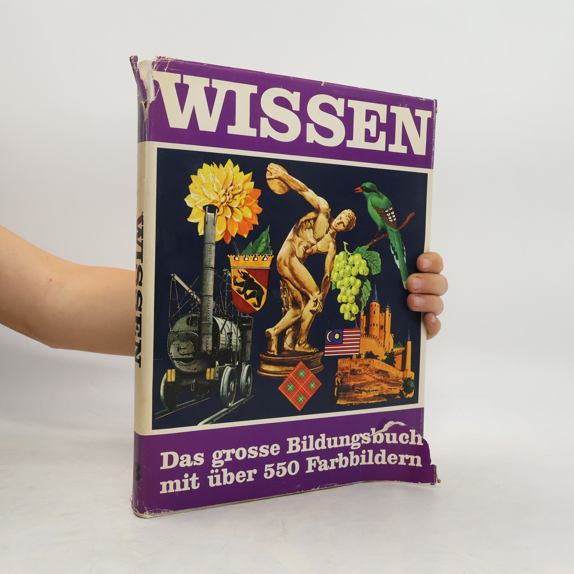 Kolektiv autorů Wissen 13