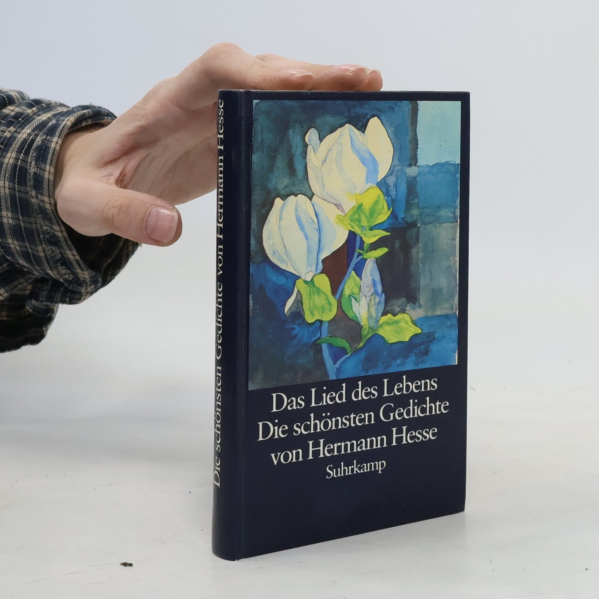 Hermann Hesse Das Lied des Lebens. Die schönsten Gedichte von Hermann Hesse