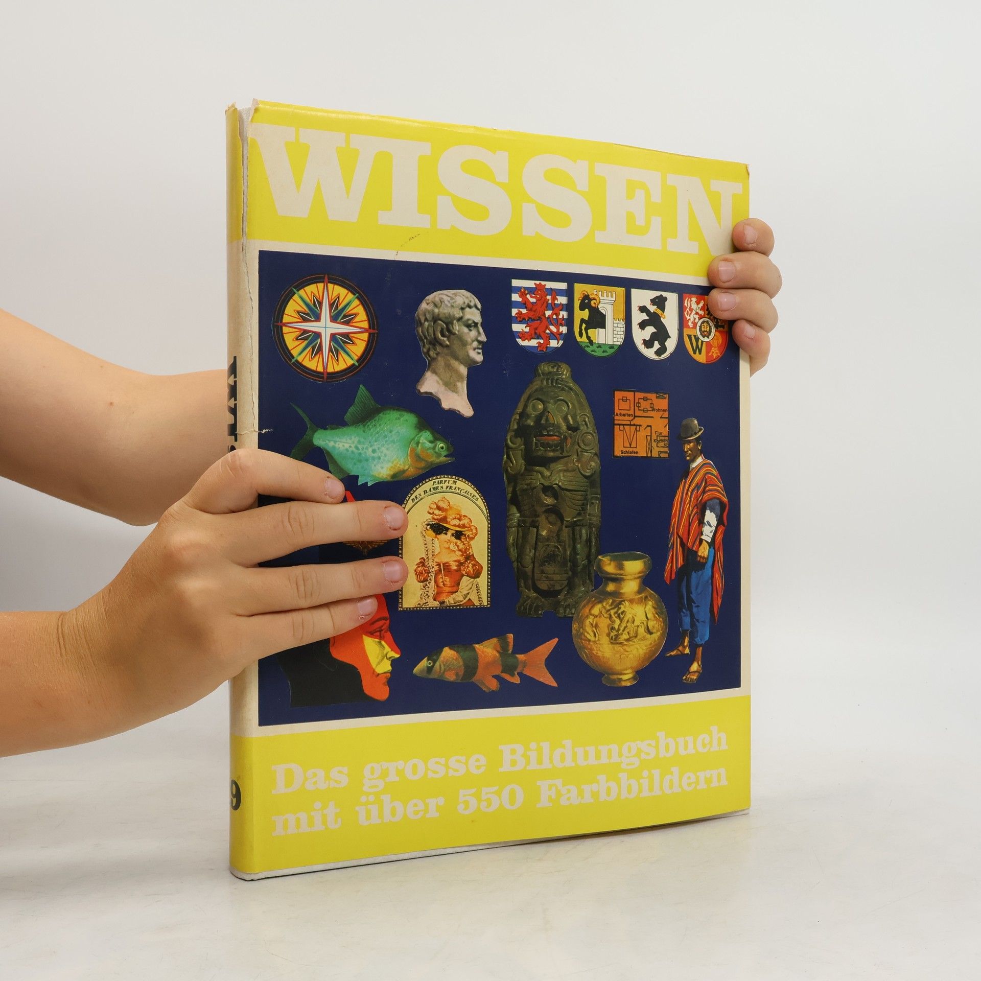 Kolektiv autorů Wissen 9. Das grosse Bildungsbuch mit über 550 Farbhildern