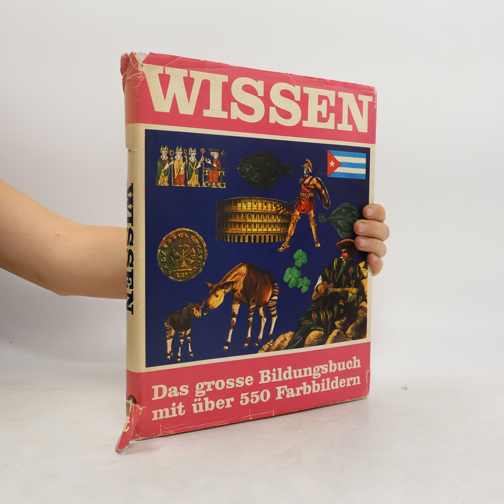 Autorenkollektiv Wissen 20