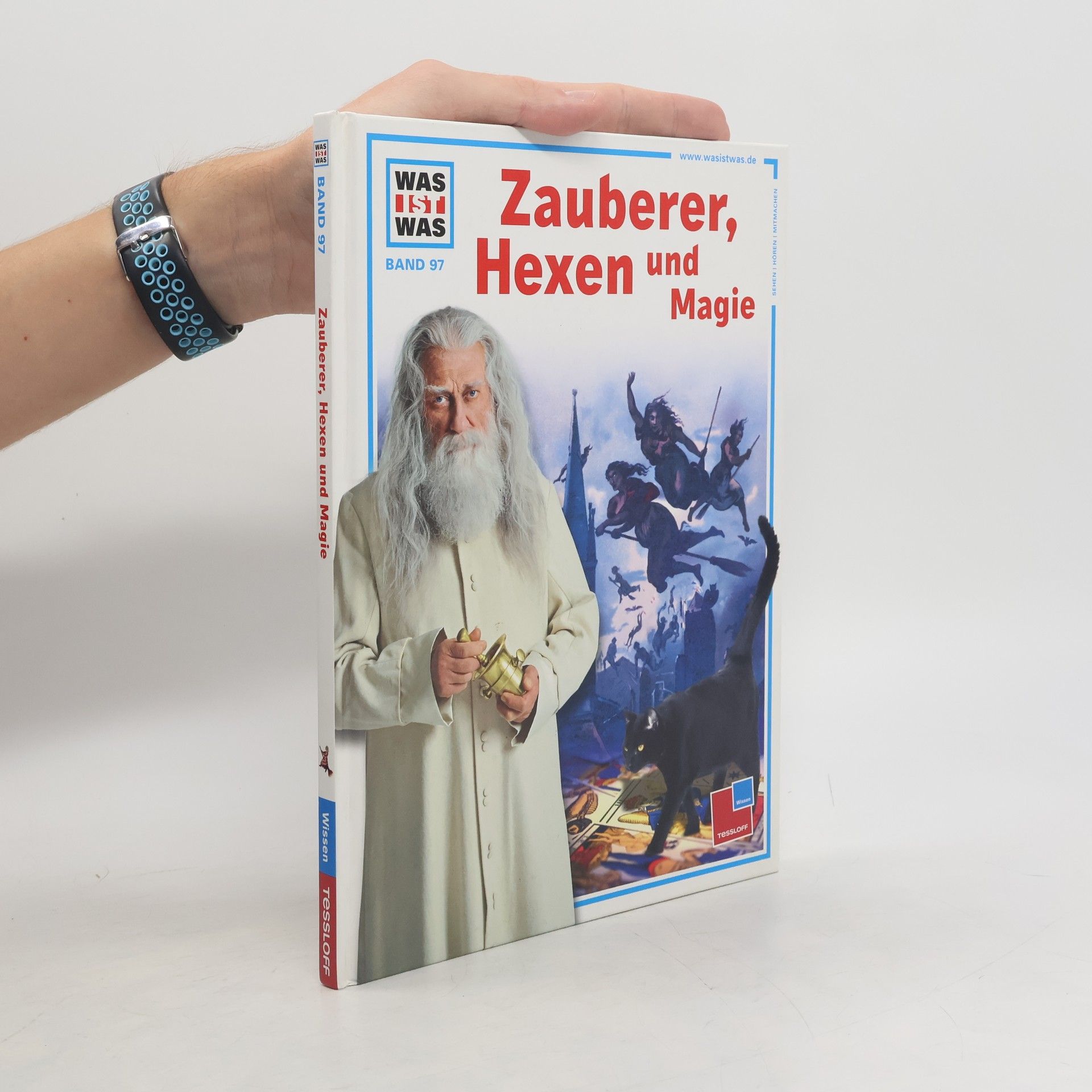 Christoph Daxelmüller Zauberer, Hexen und Magie
