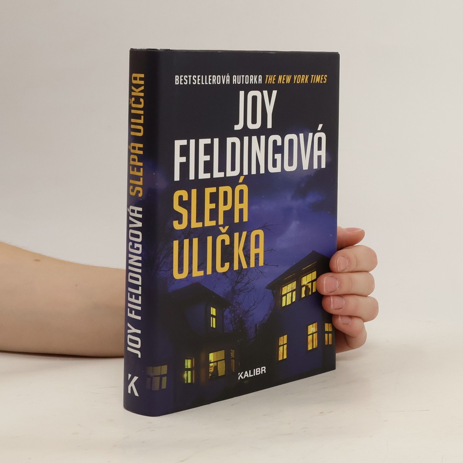 Joy Fielding Slepá ulička