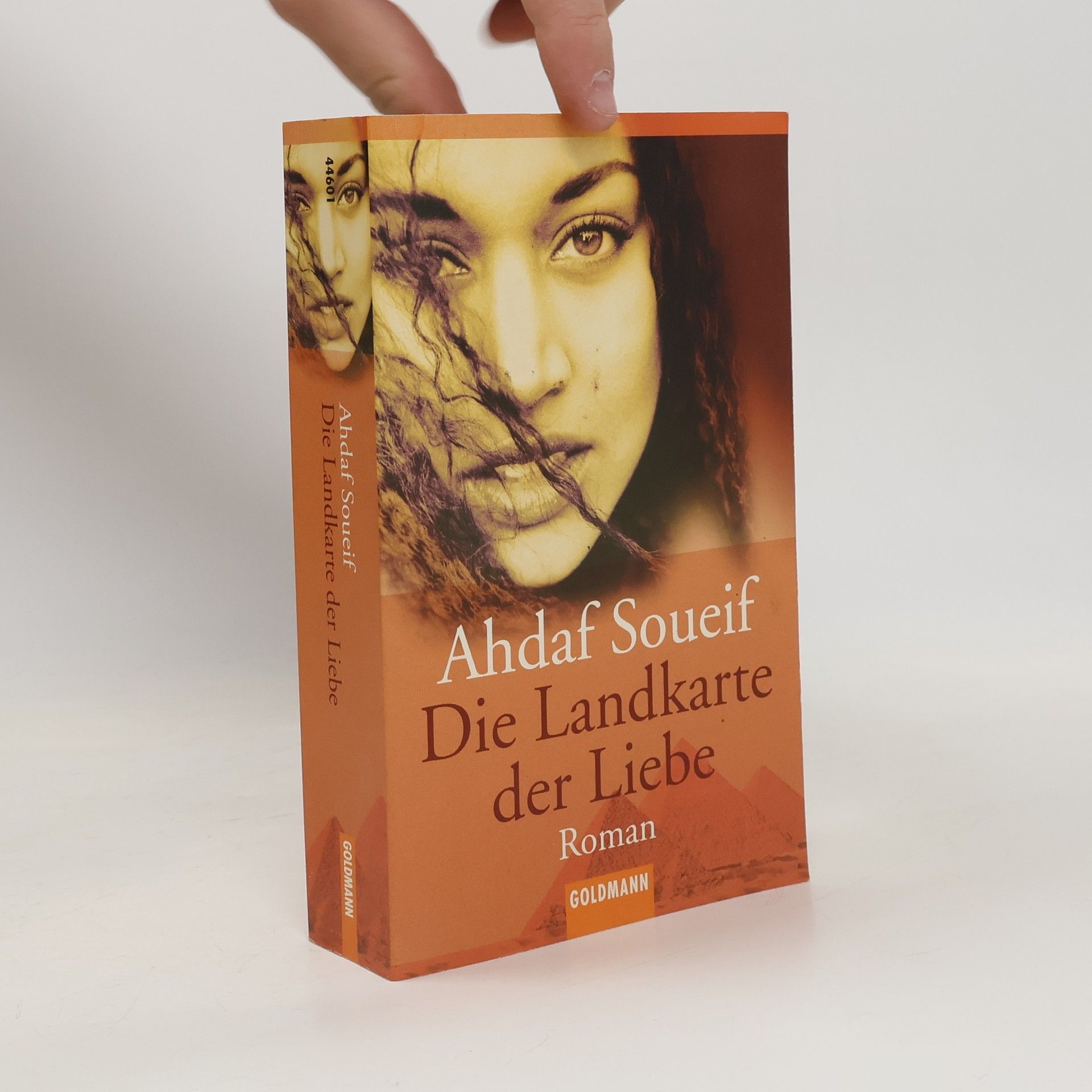 Ahdaf Soueif Die Landkarte der Liebe