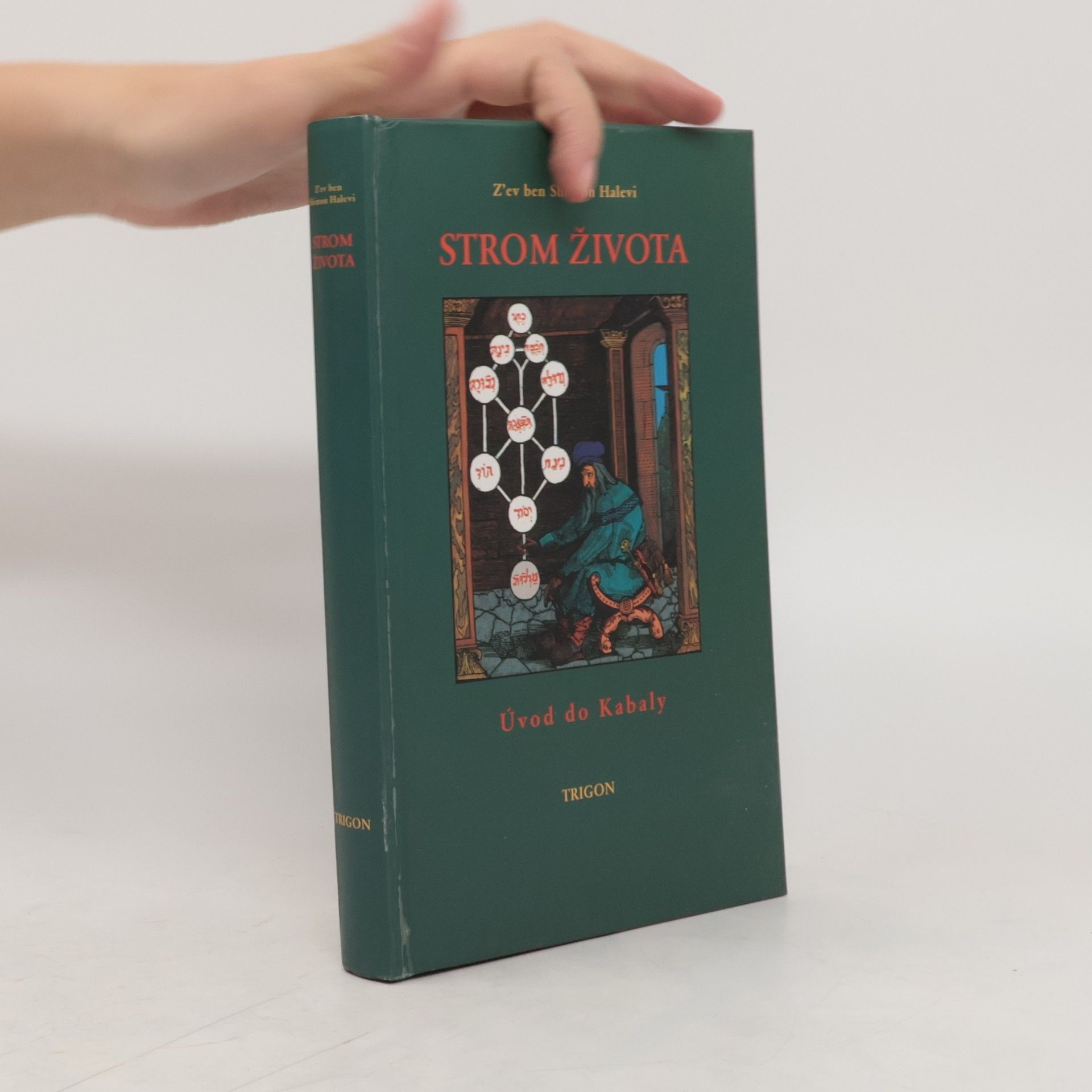 Peter Bugár Strom života : úvod do Kabaly