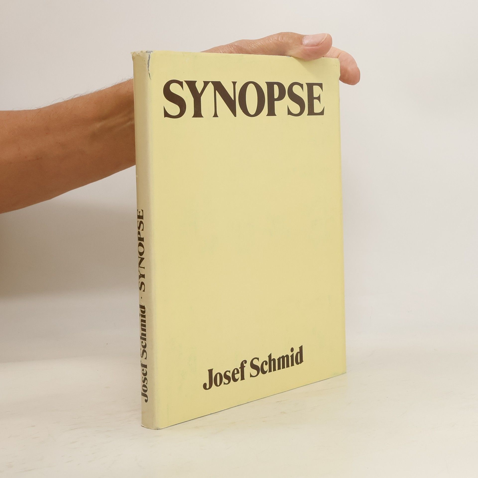 Joseph Schmid Synopse