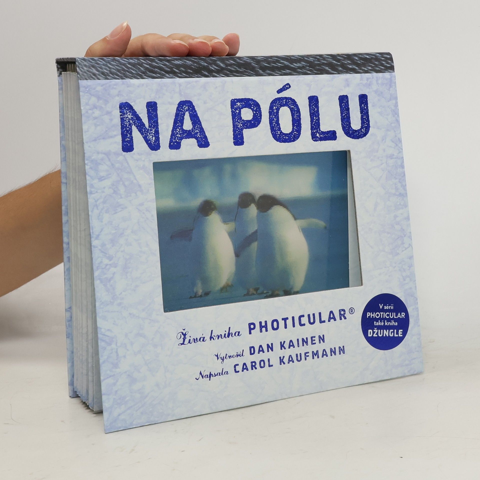 Dan Kainen Na pólu