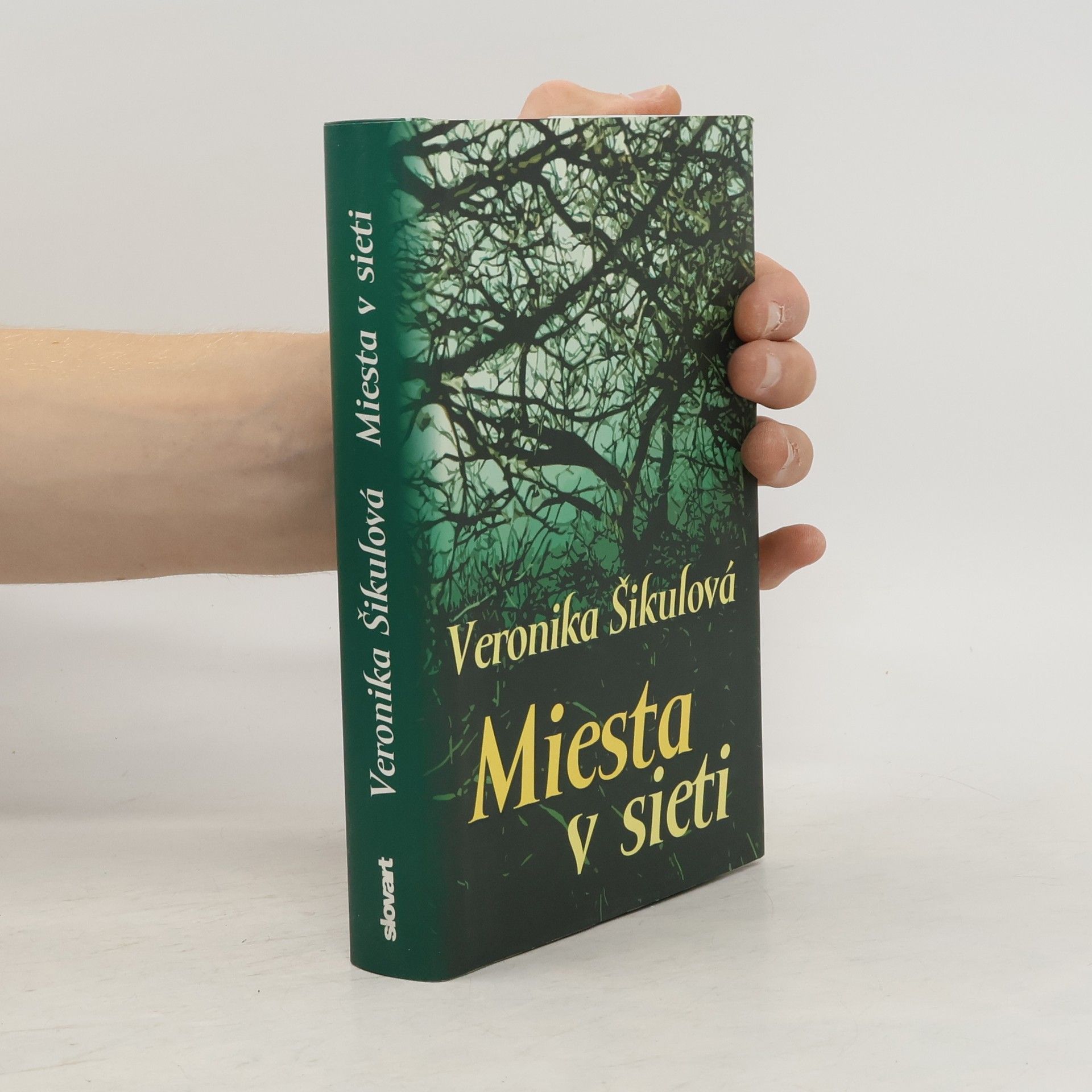 Šikulová Veronika Miesta v sieti