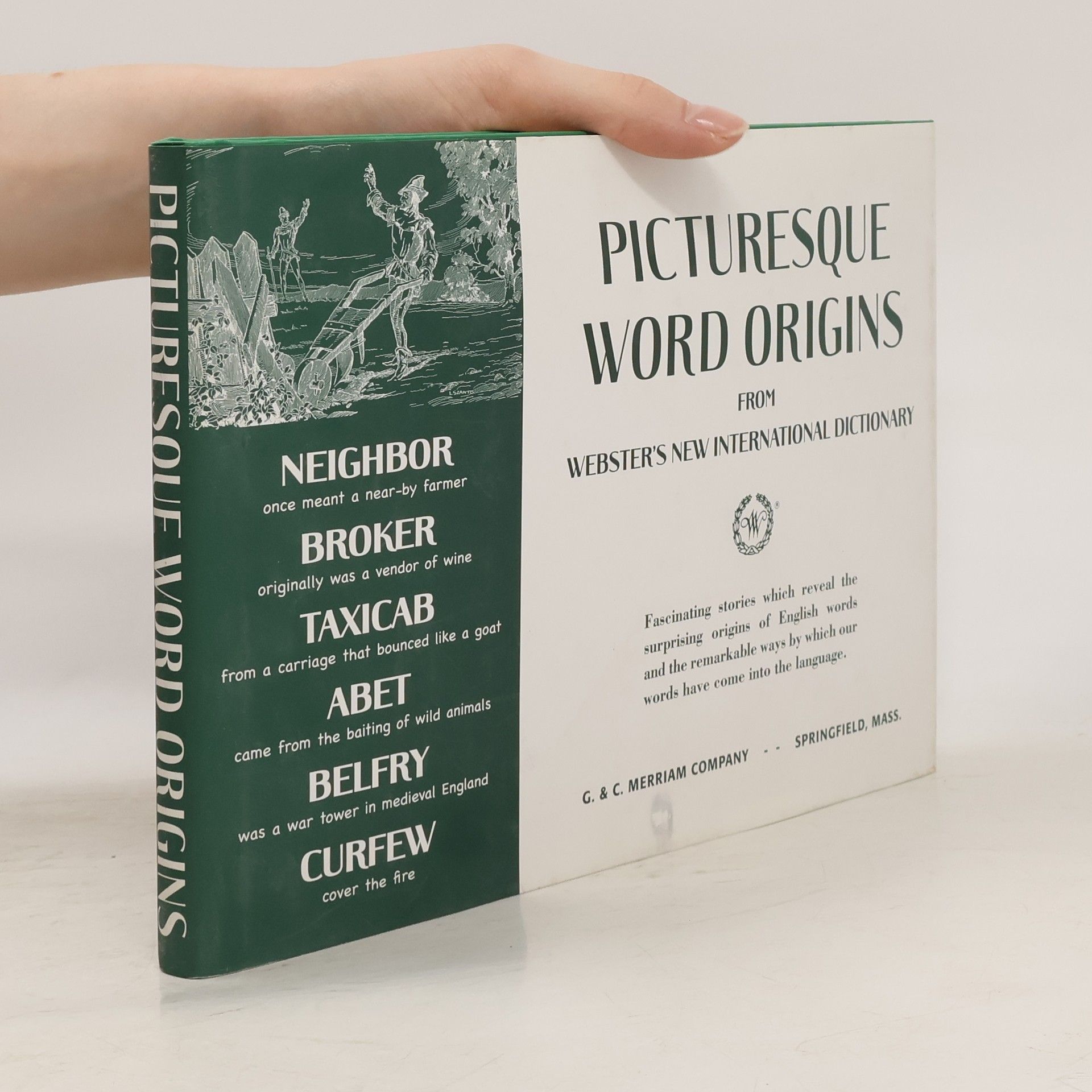 Kolektív autorov Picturesque Word Origins from Webster's New International Dictionary