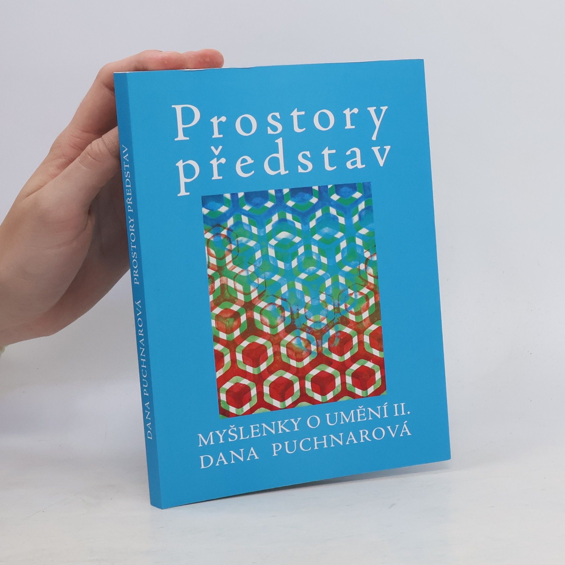 Dana Puchnarová Prostory představ. Myšlenky o umění II.