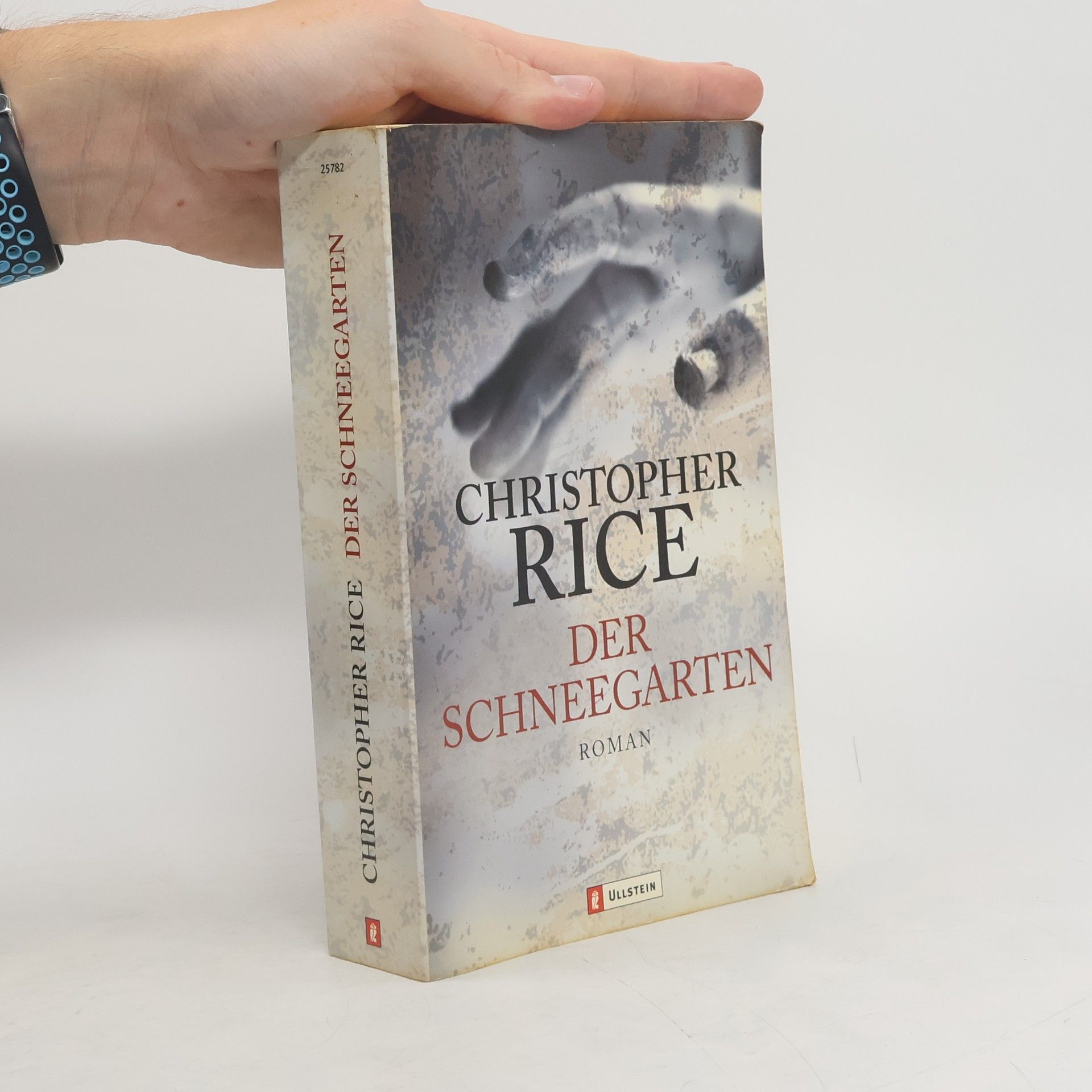 Christopher Rice Der Schneegarten