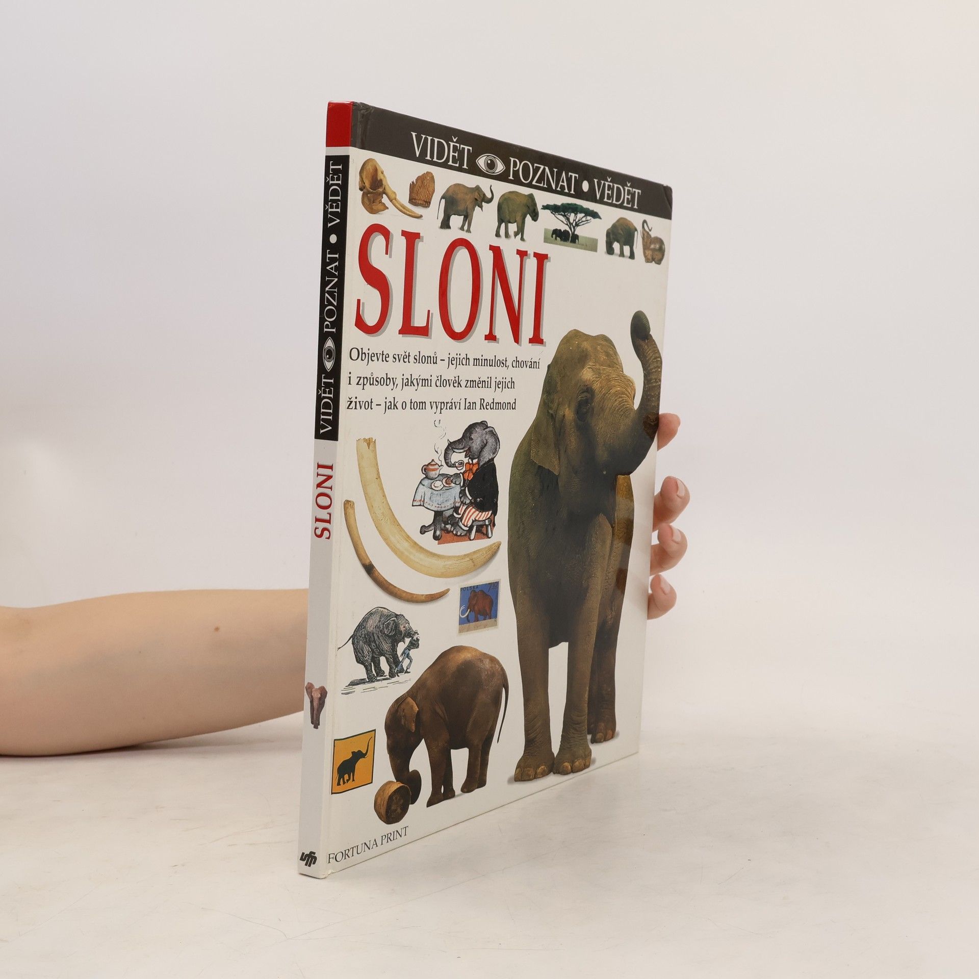 Ian Redmond Sloni