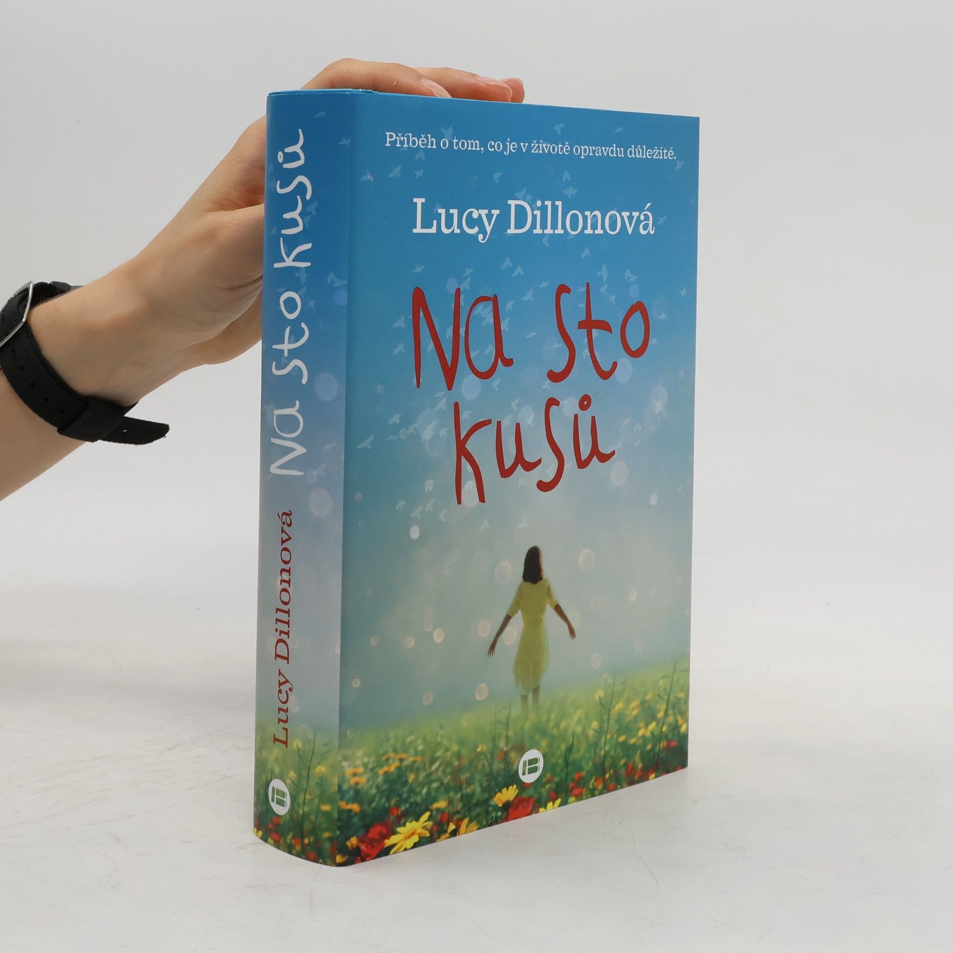 Lucy Dillon Na sto kusů