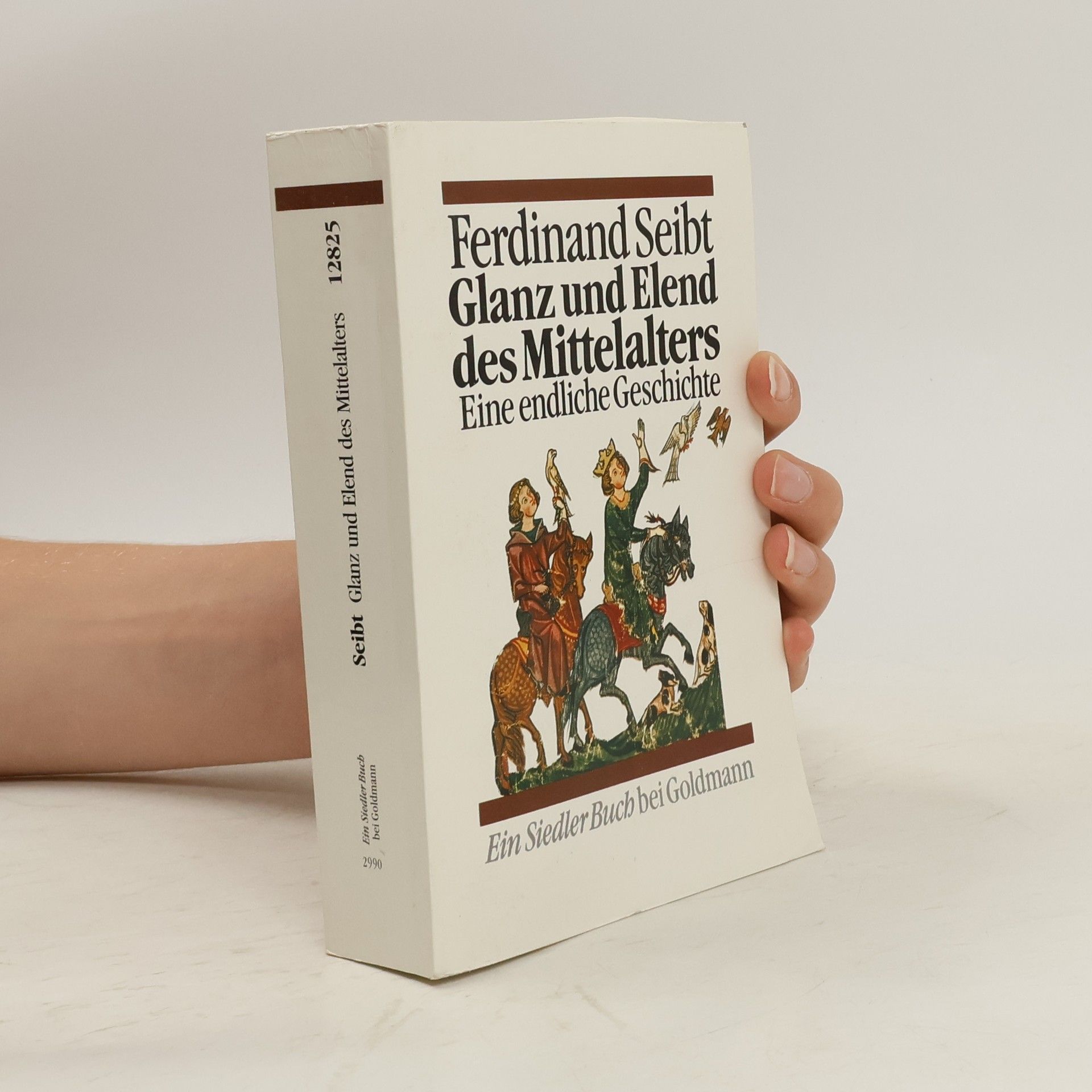 Ferdinand Seibt Glanz und Elend des Mittelalters : eine endliche Geschichte