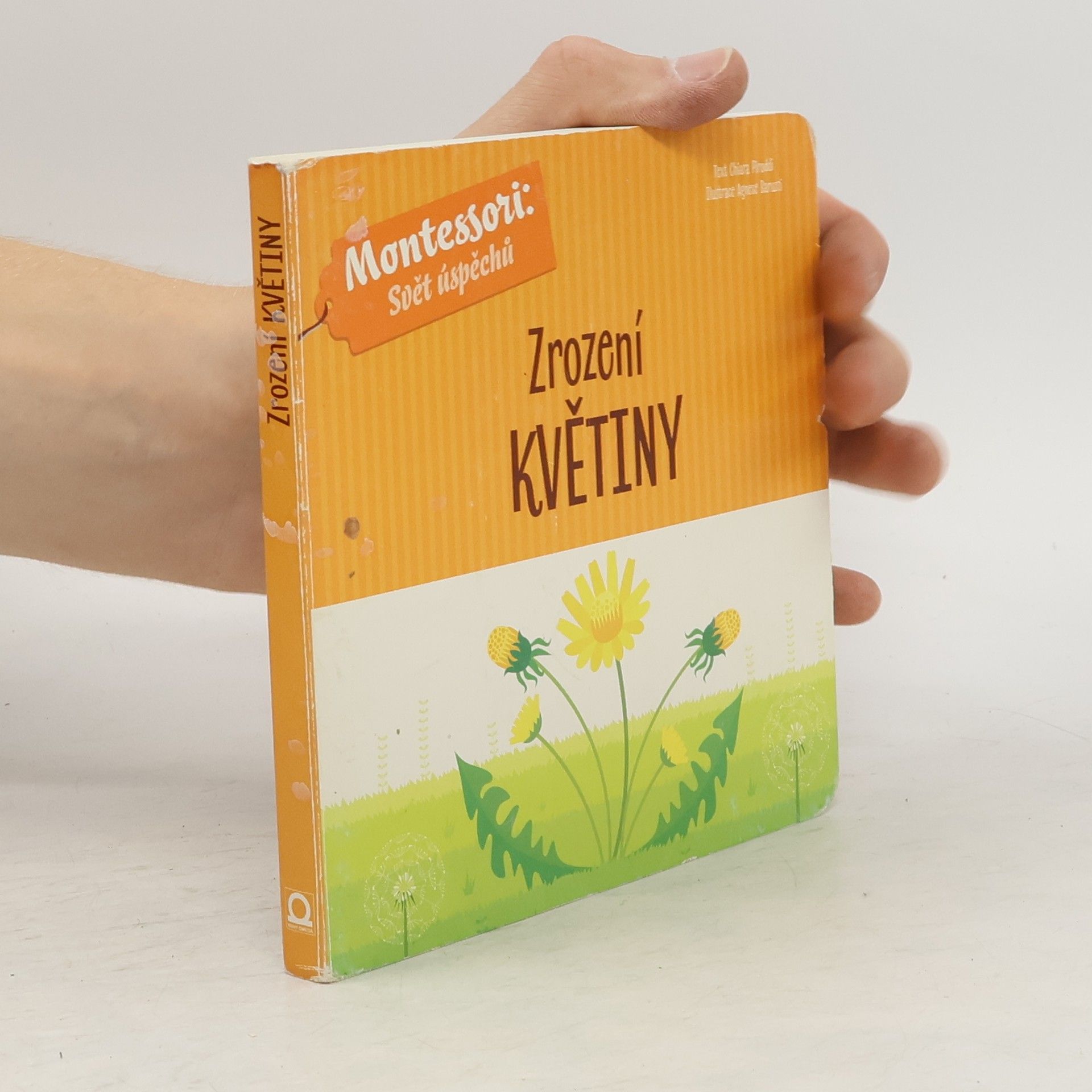 Chiara Piroddi Zrození květiny