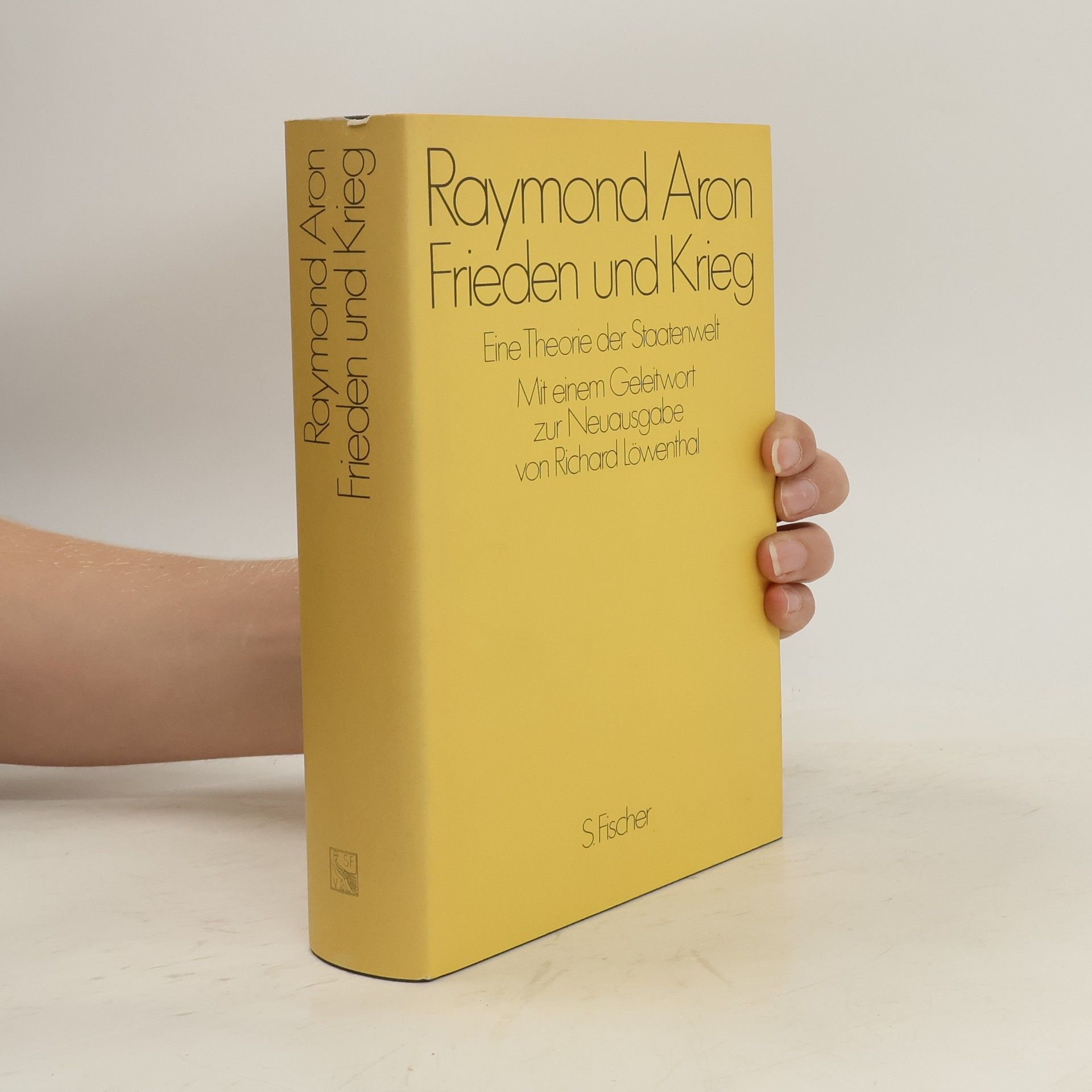 Raymond Aron Frieden und Krieg